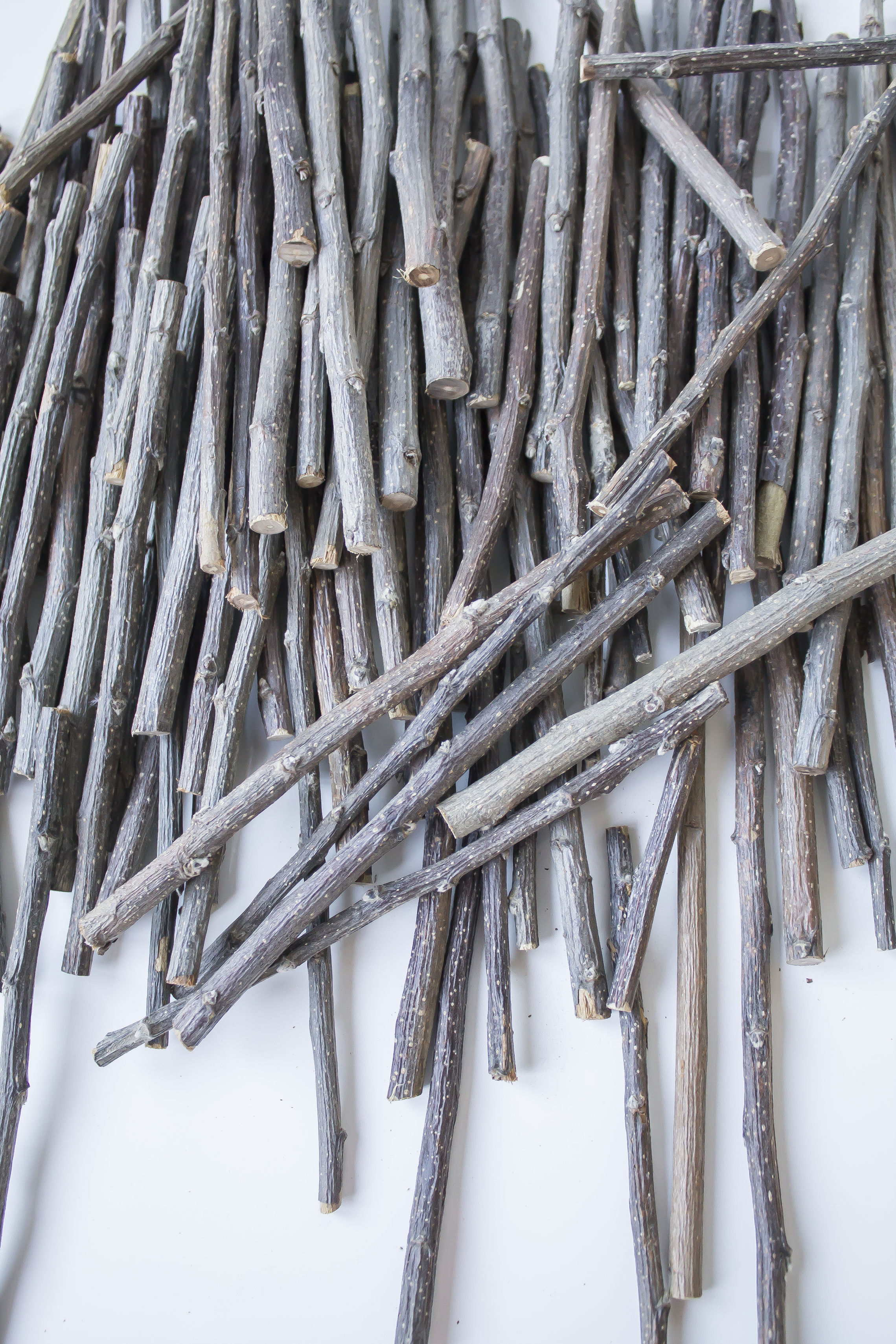 Apple Wood Sticks