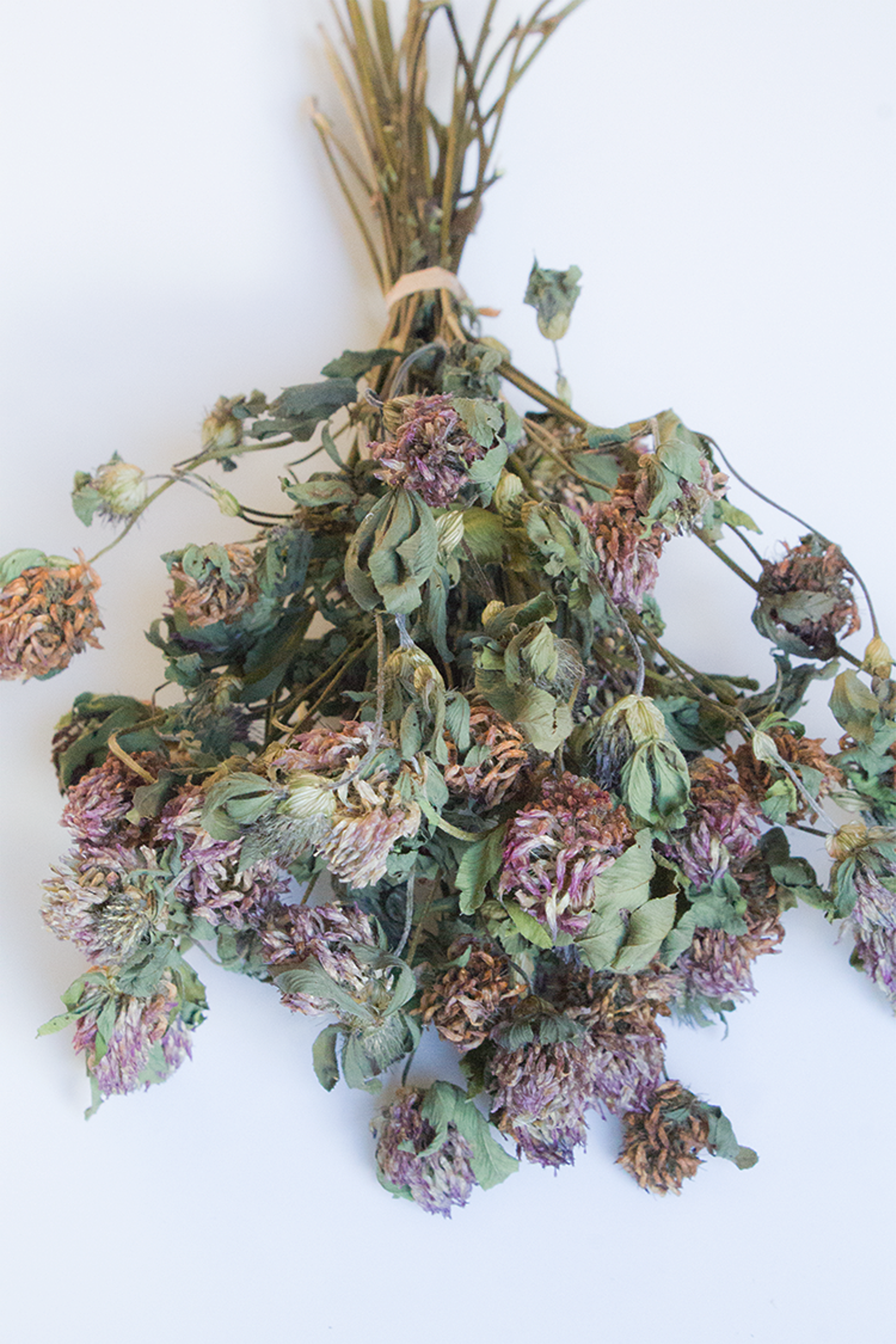 Clover Flower Sprays