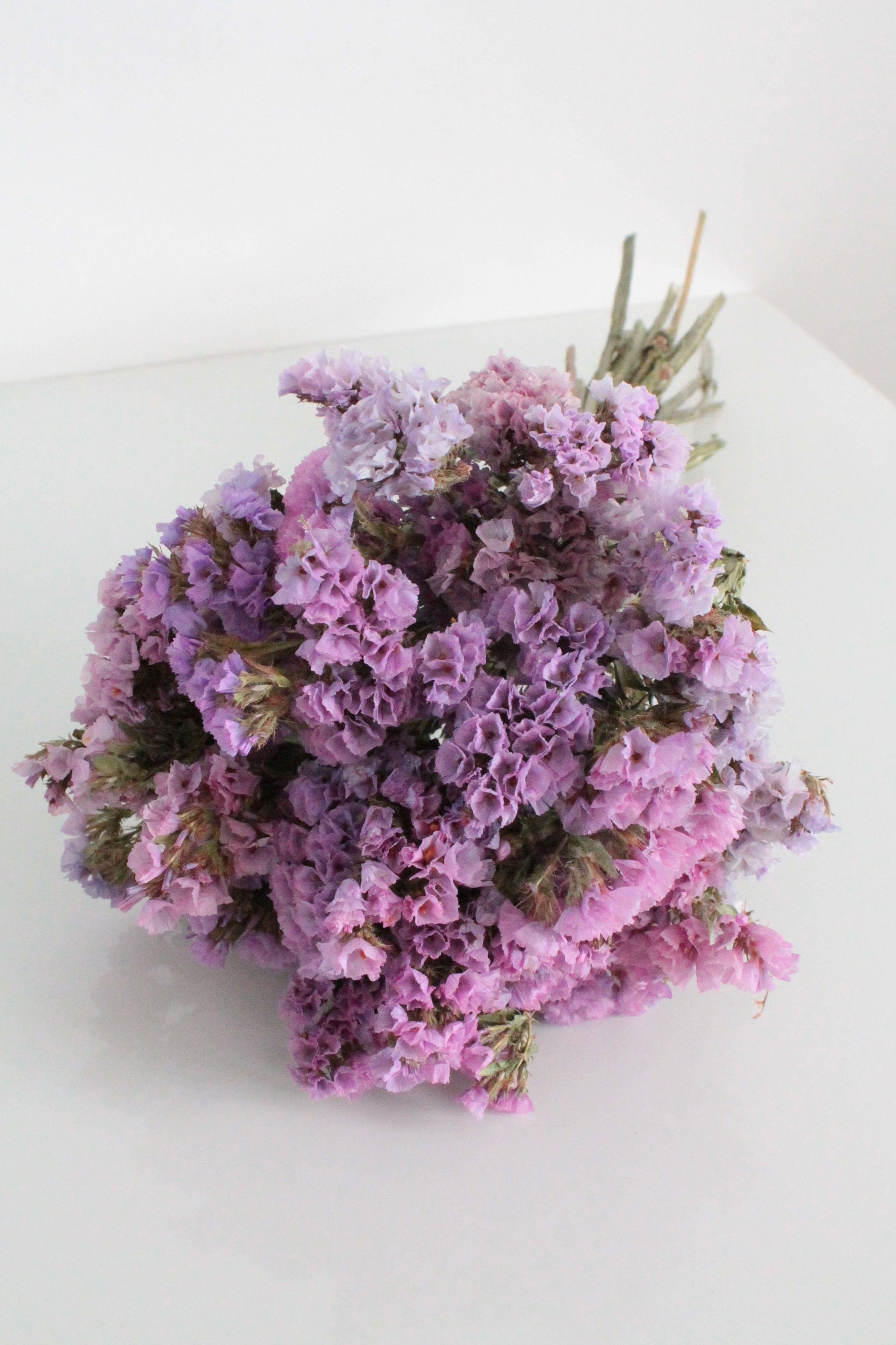 Fairy Garden Statice – Limited Batch