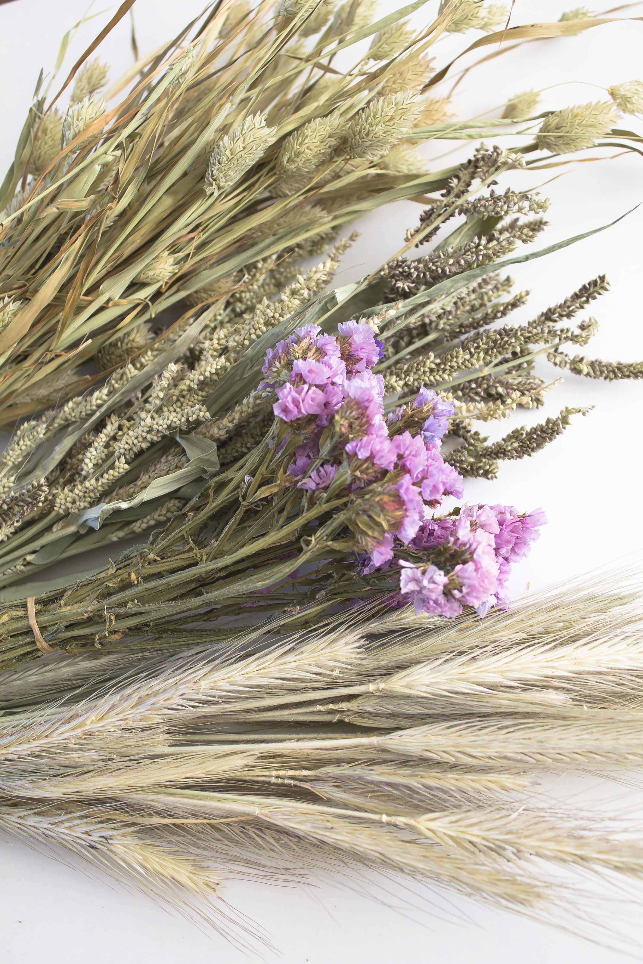 Spring Special Dried Sprays Mix