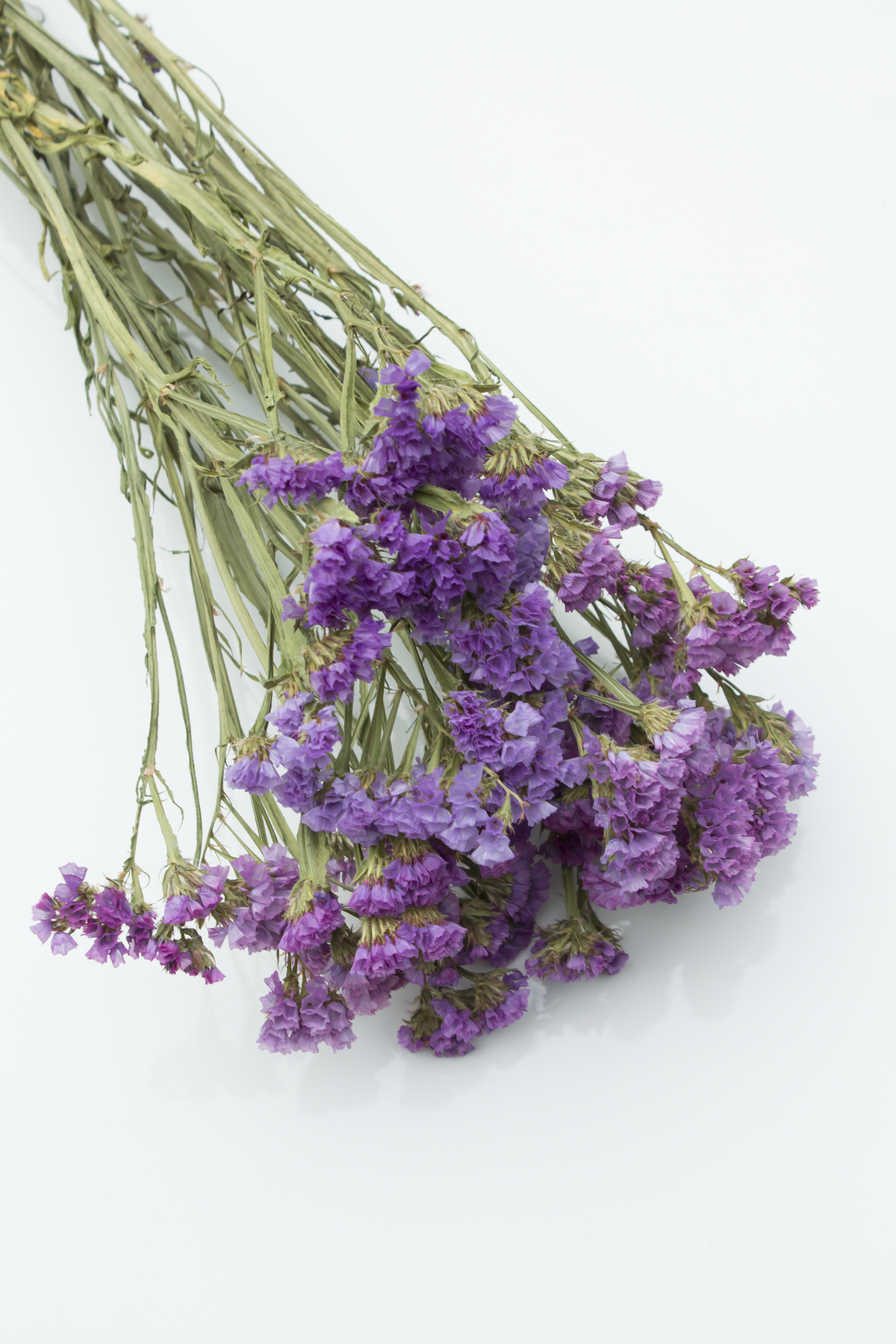 Soft Lilac Statice Flowers