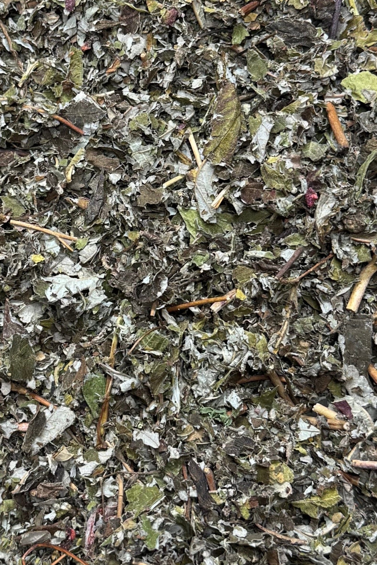Raspberry Forage