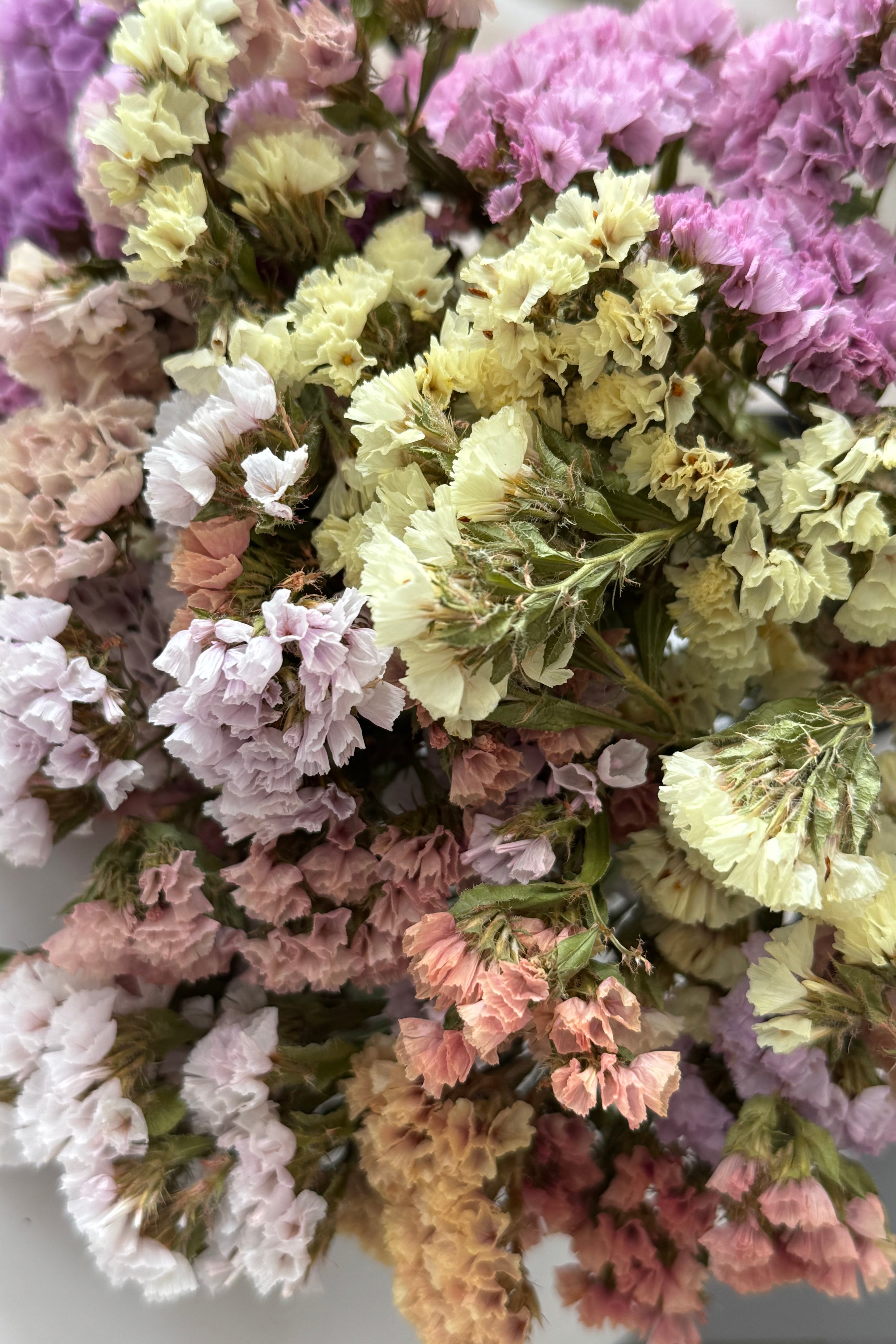 Dreamy Pastels Limited Statice Bouquet