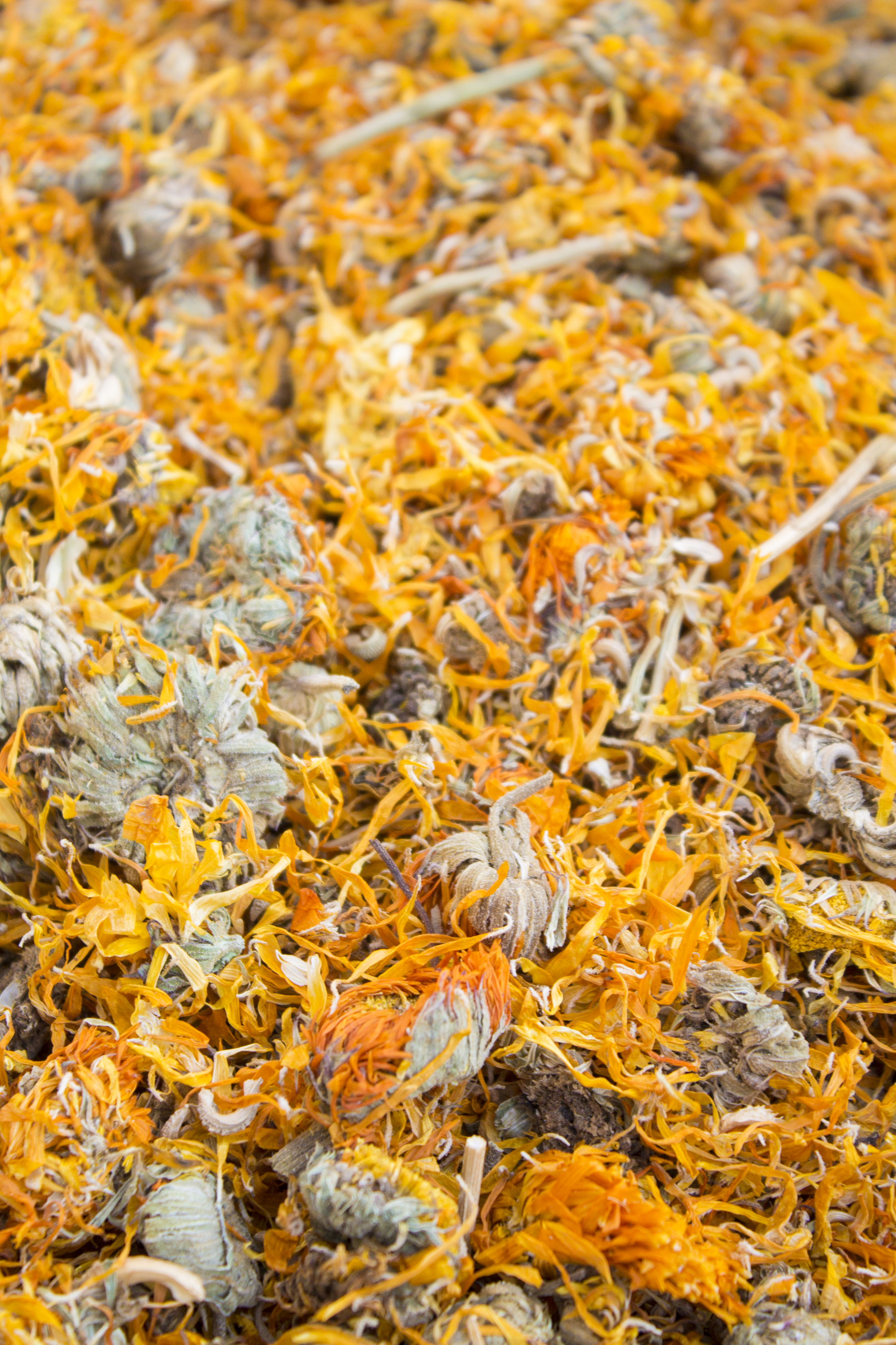 Marigold Flowers