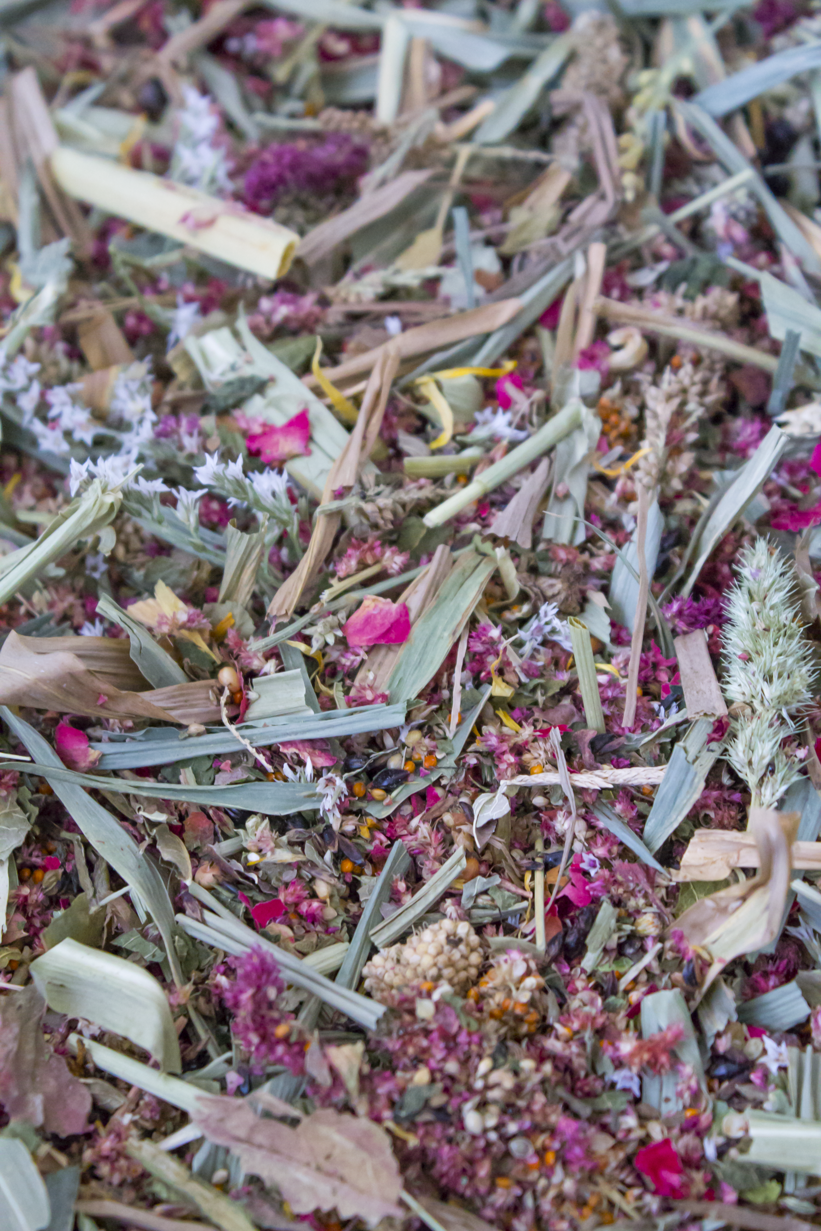 Premium Botanical Forage Blend