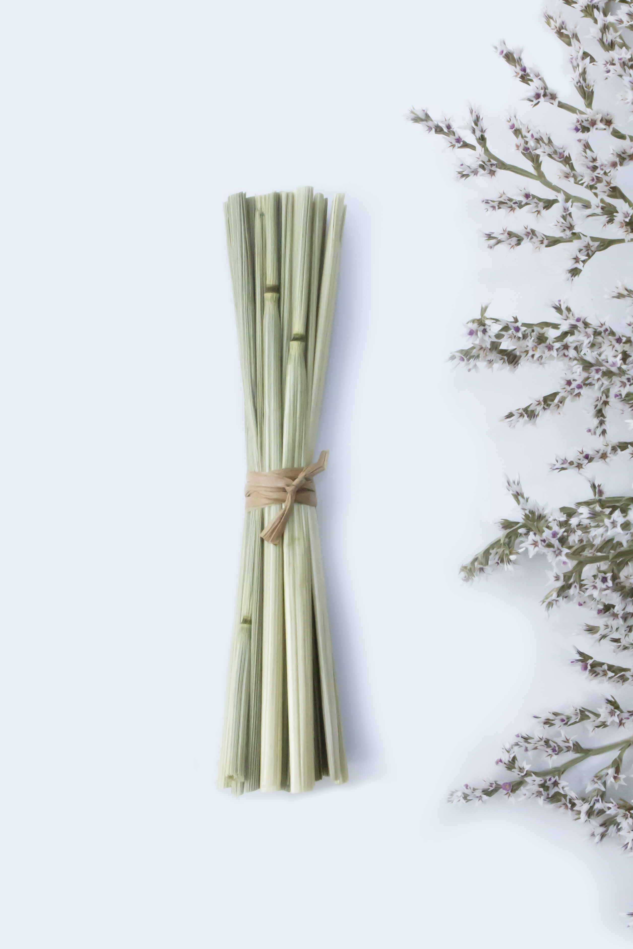 Oat Chew Stalks