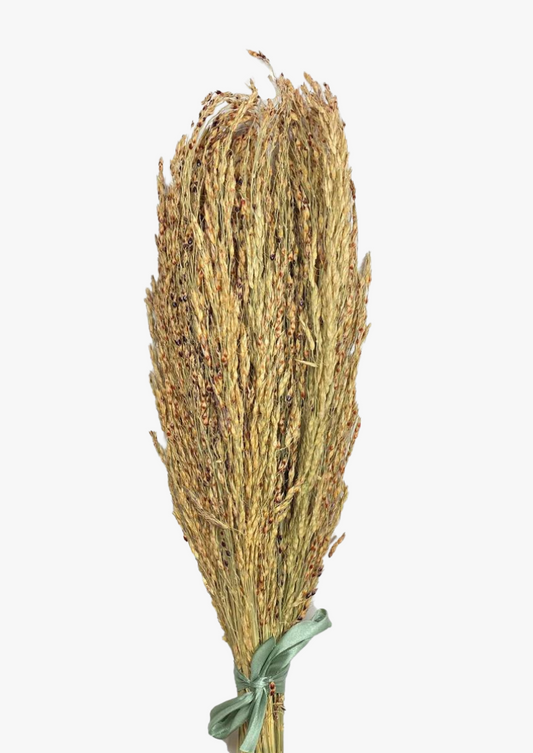 Organic Summer Dried Spray Bundle for small animals, hamsters, mice, rats, gerbils. Flax, amaranth, red sorghum, delicha, oat. Cage decoration. stems bunch, hamsters cage decoration. Boredom breaker, enrichment for hamsters. Forage for small animals. Supplementary feed. Dried delicha grass. Moony Paw