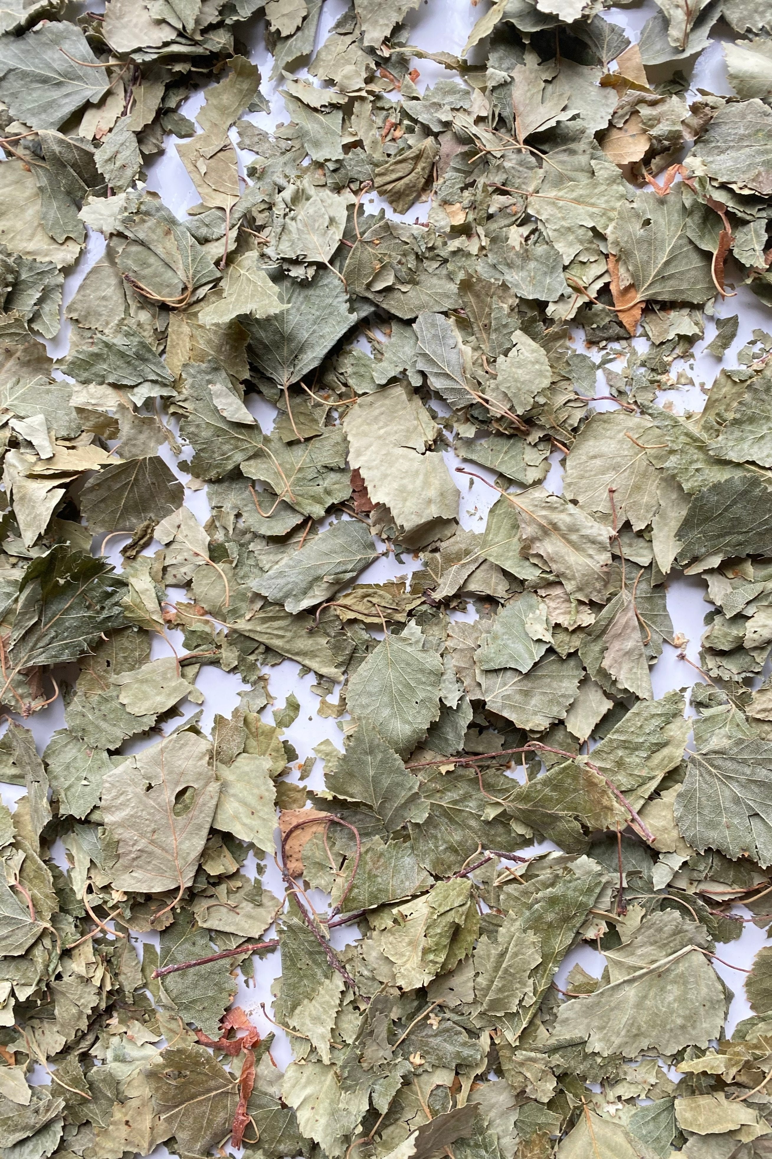 Moony Paw Birch Leaves – premium natural snack for rabbits, guinea pigs, and hamsters. Mimics natural foraging behavior.