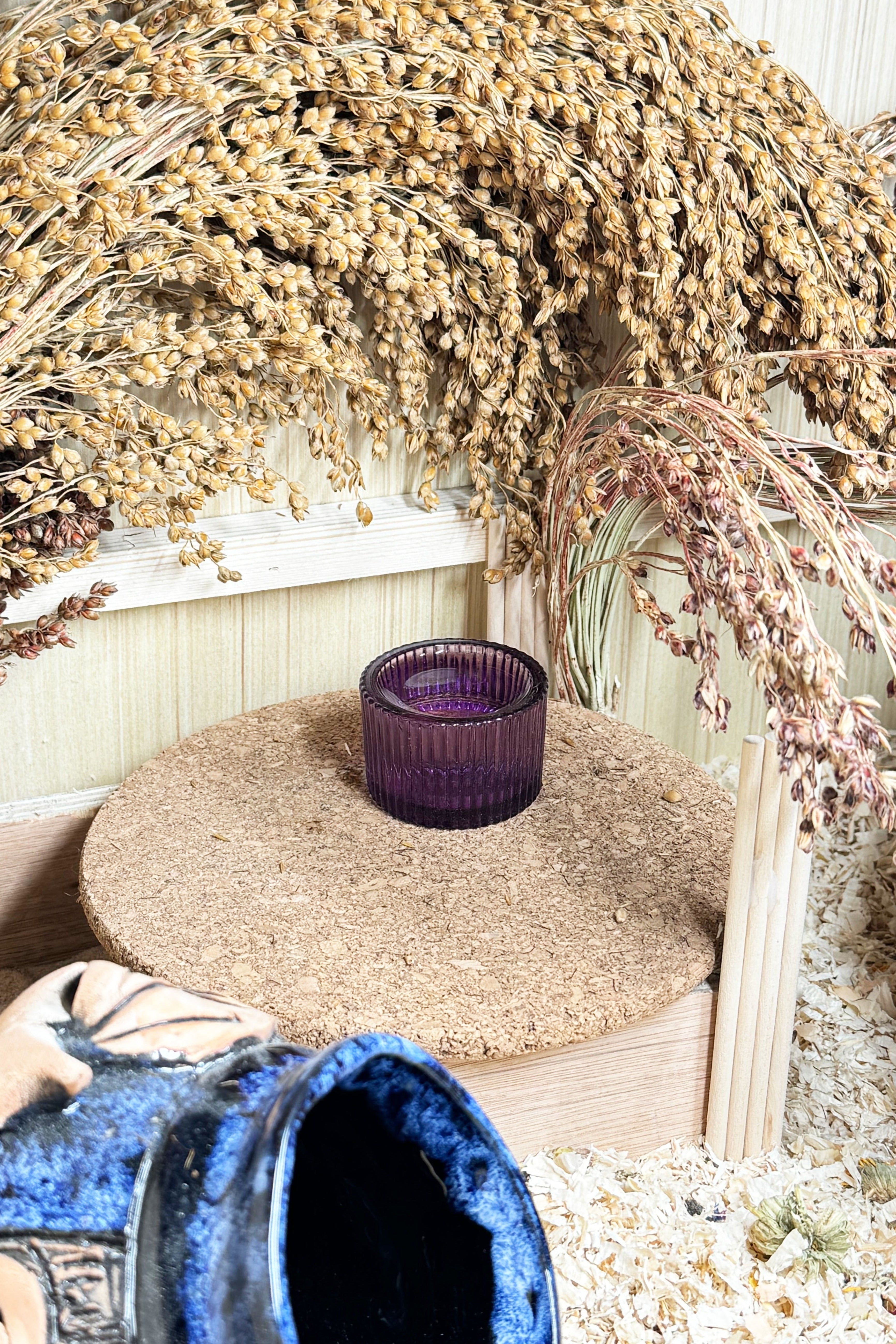 Moony Paw Premium Bowl For Small Pets – charming amethyst color.