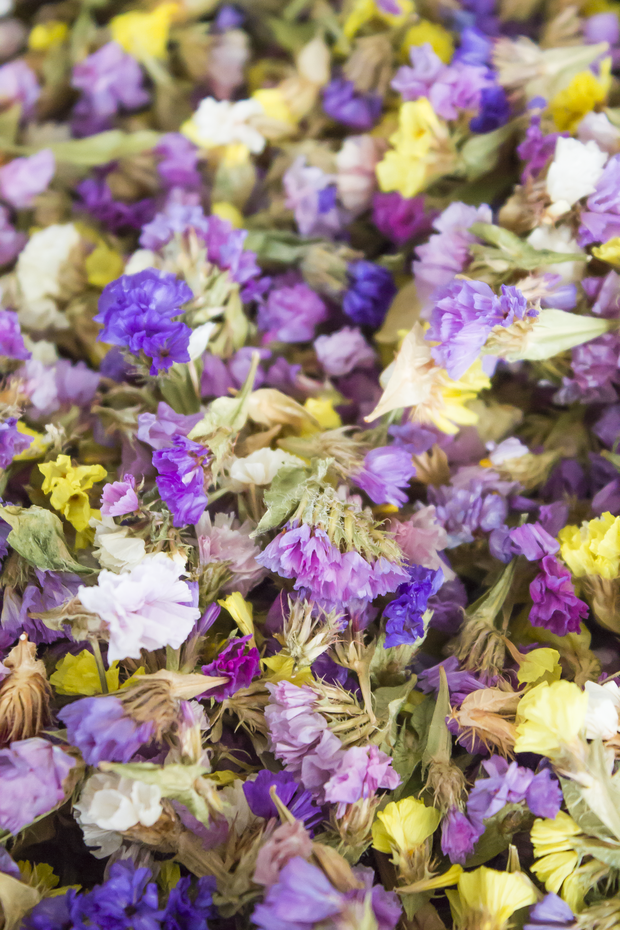 Dried Statice Petals
