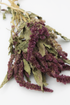 A bundle of dried amaranth herb with dense, fuzzy purple flower spikes and muted green-brown leaves on a plain white background.
