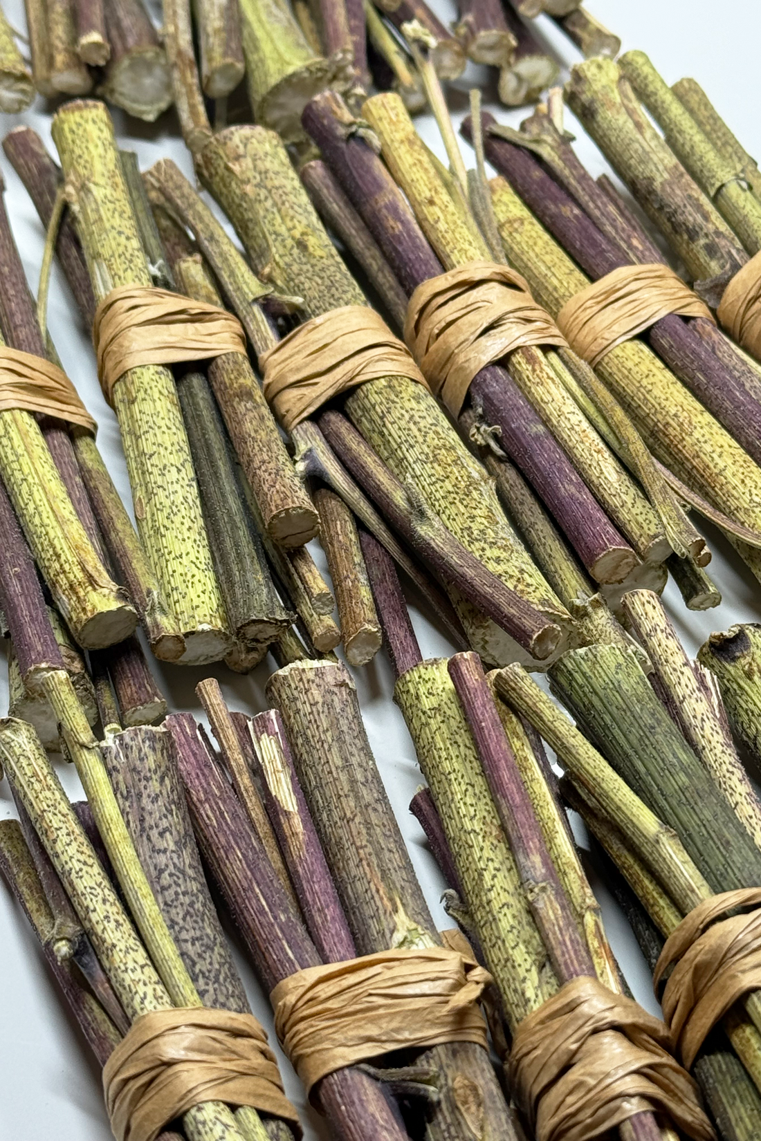 Artichoke Chew Sticks