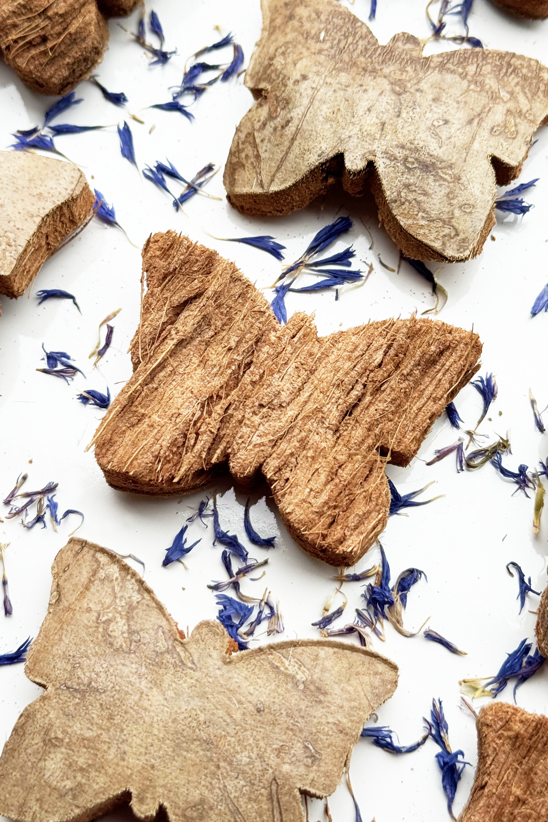 Coconut Husk Butterflies