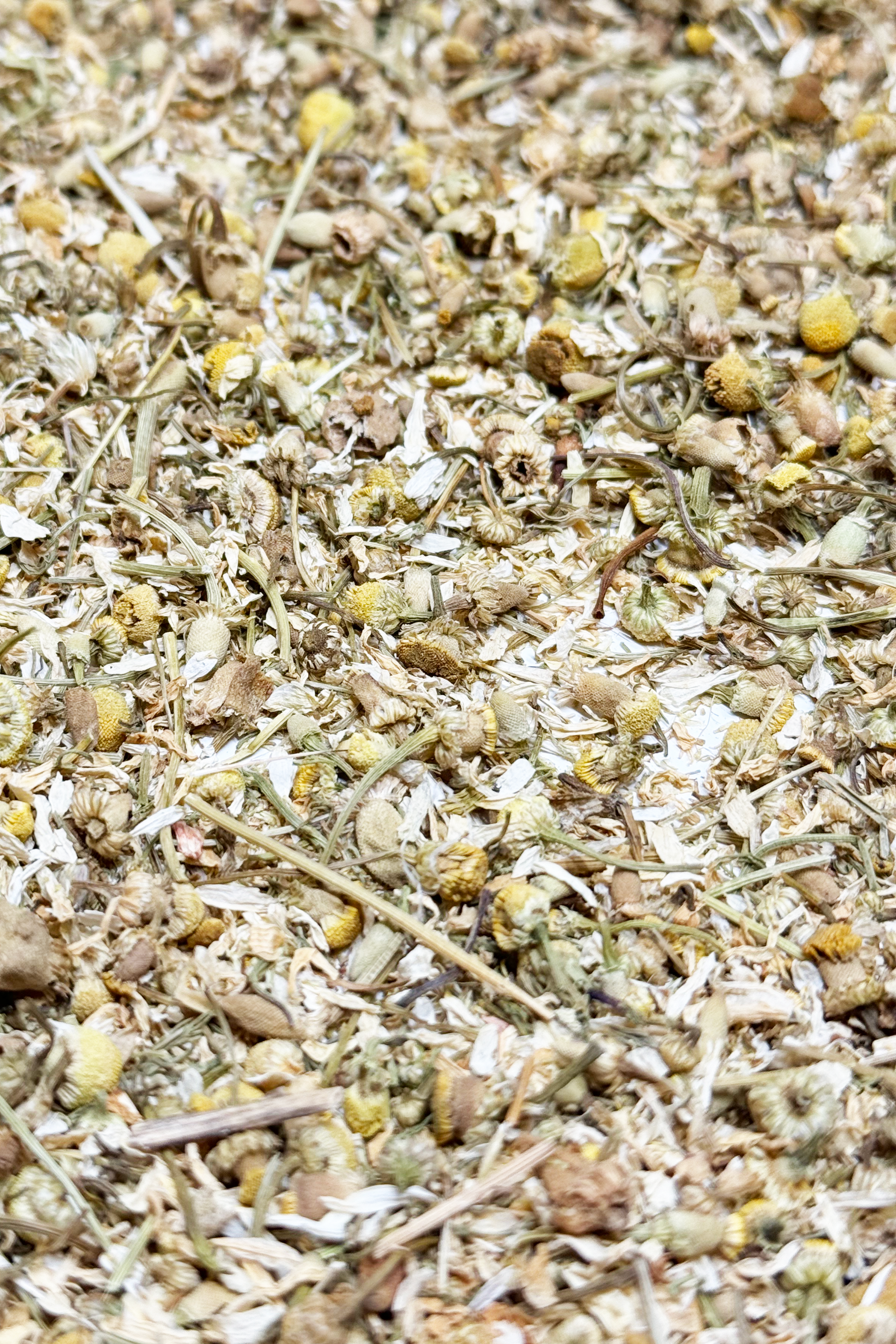 Dried chamomile flowers for small animals, offering calming effects and supporting natural foraging behavior.