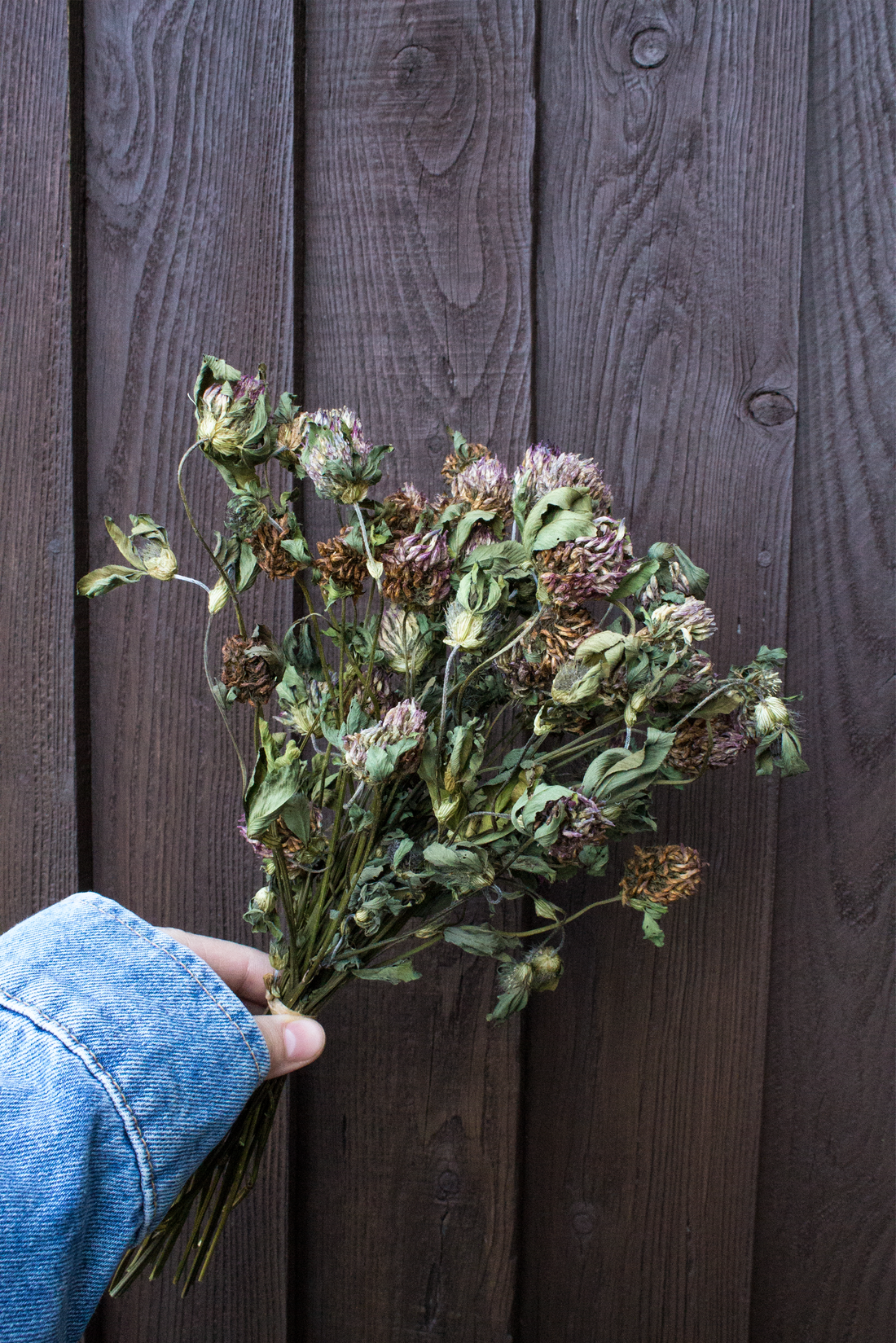 Clover Flower Sprays