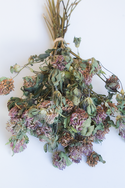 Clover Flower Sprays