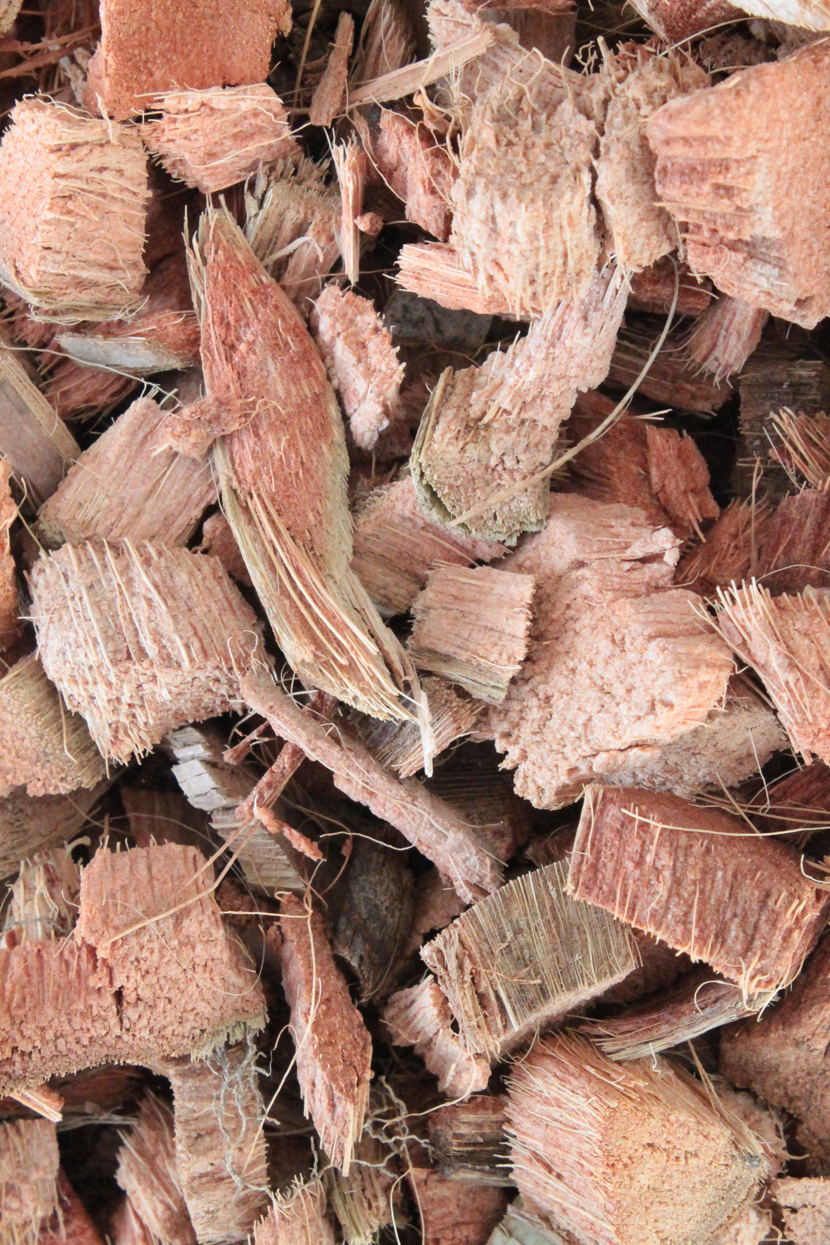 Close-up of wood chips or sawdust with a brown color.