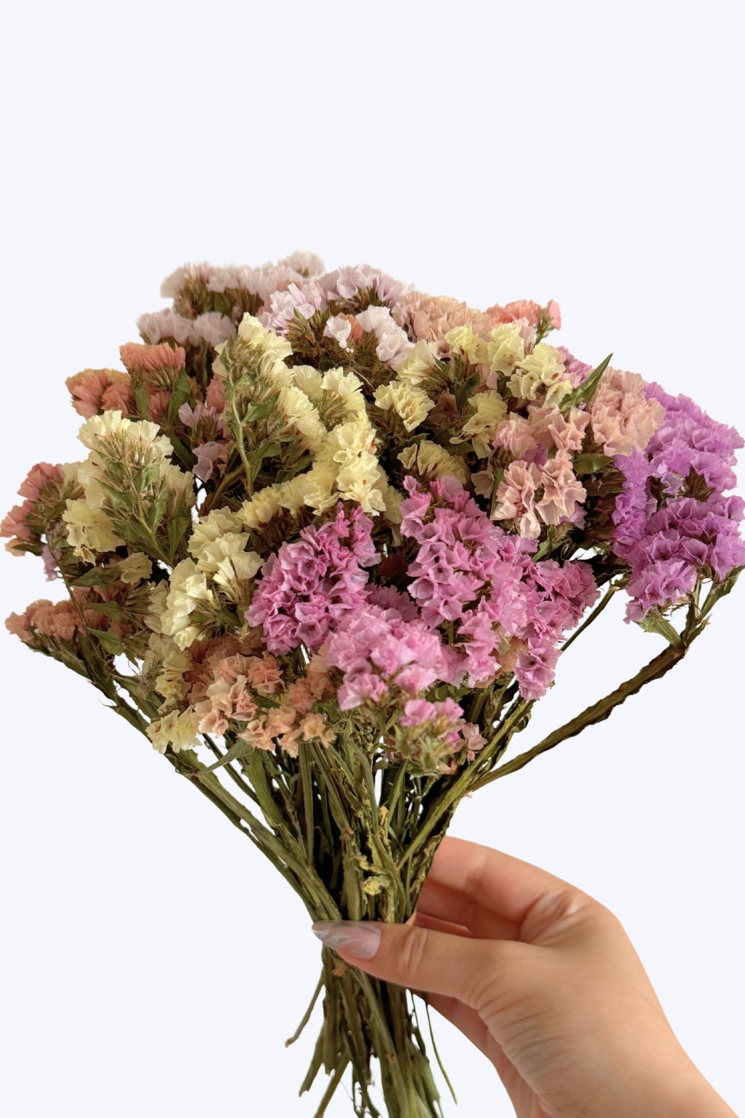 Dreamy Pastels Limited Statice Bouquet