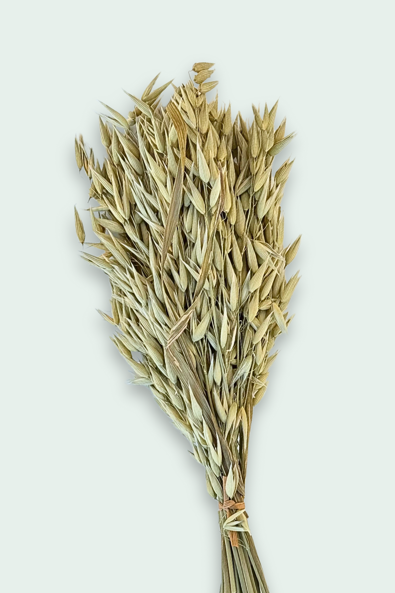 Oat Dried Sprays
