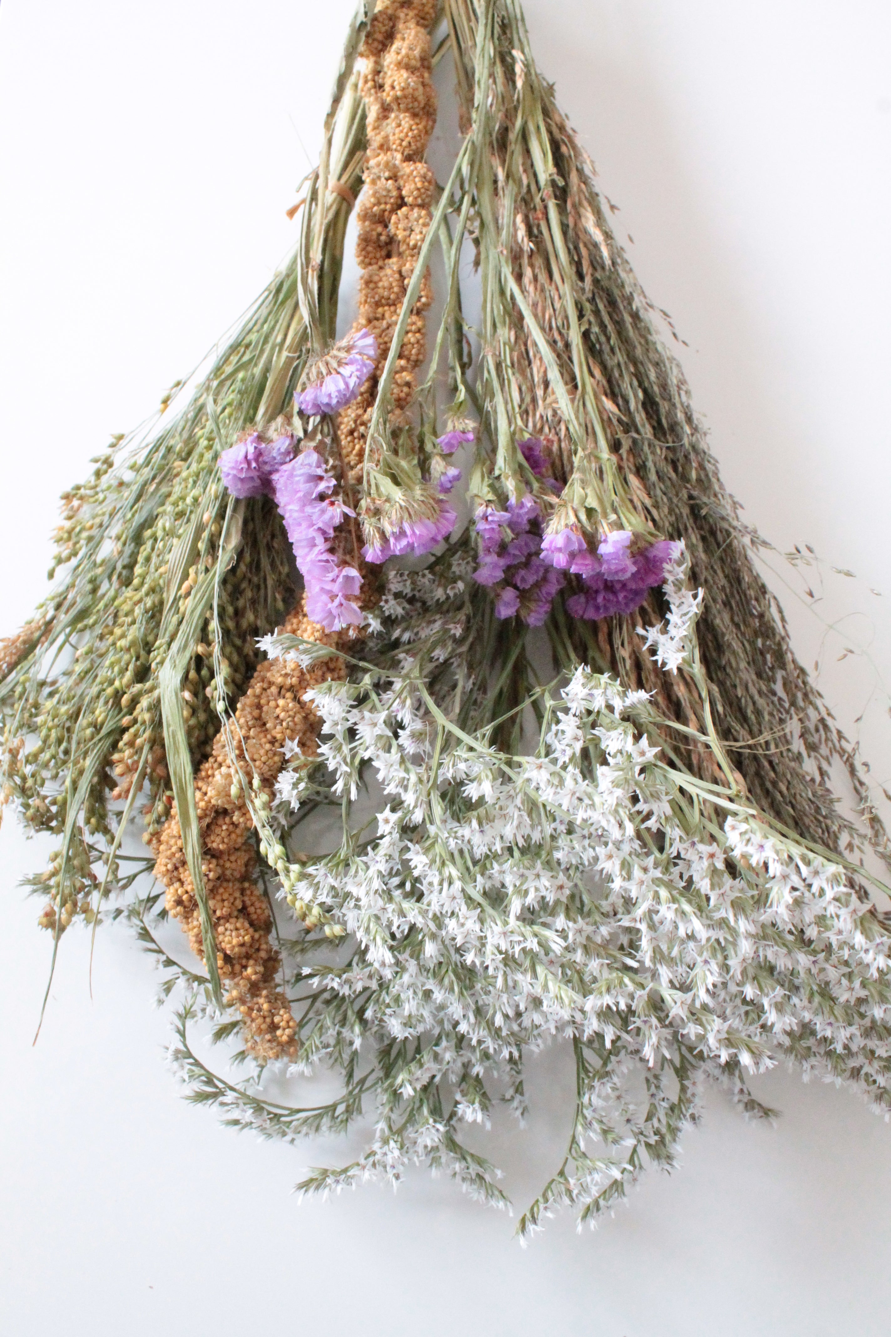Bouquet of dried sprays and other herbs on a white background