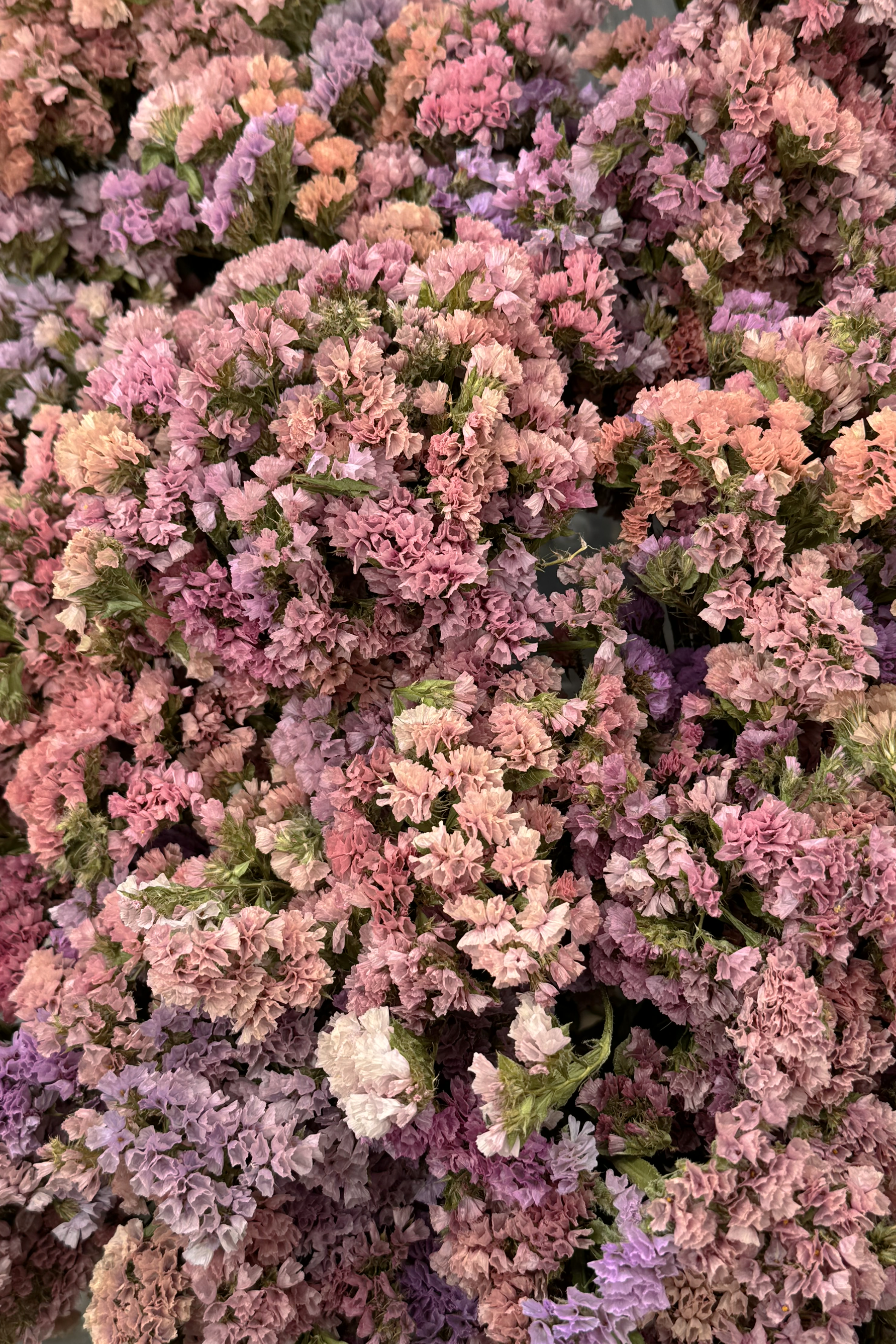 Fairy Garden - Limited Statice Bouquet
