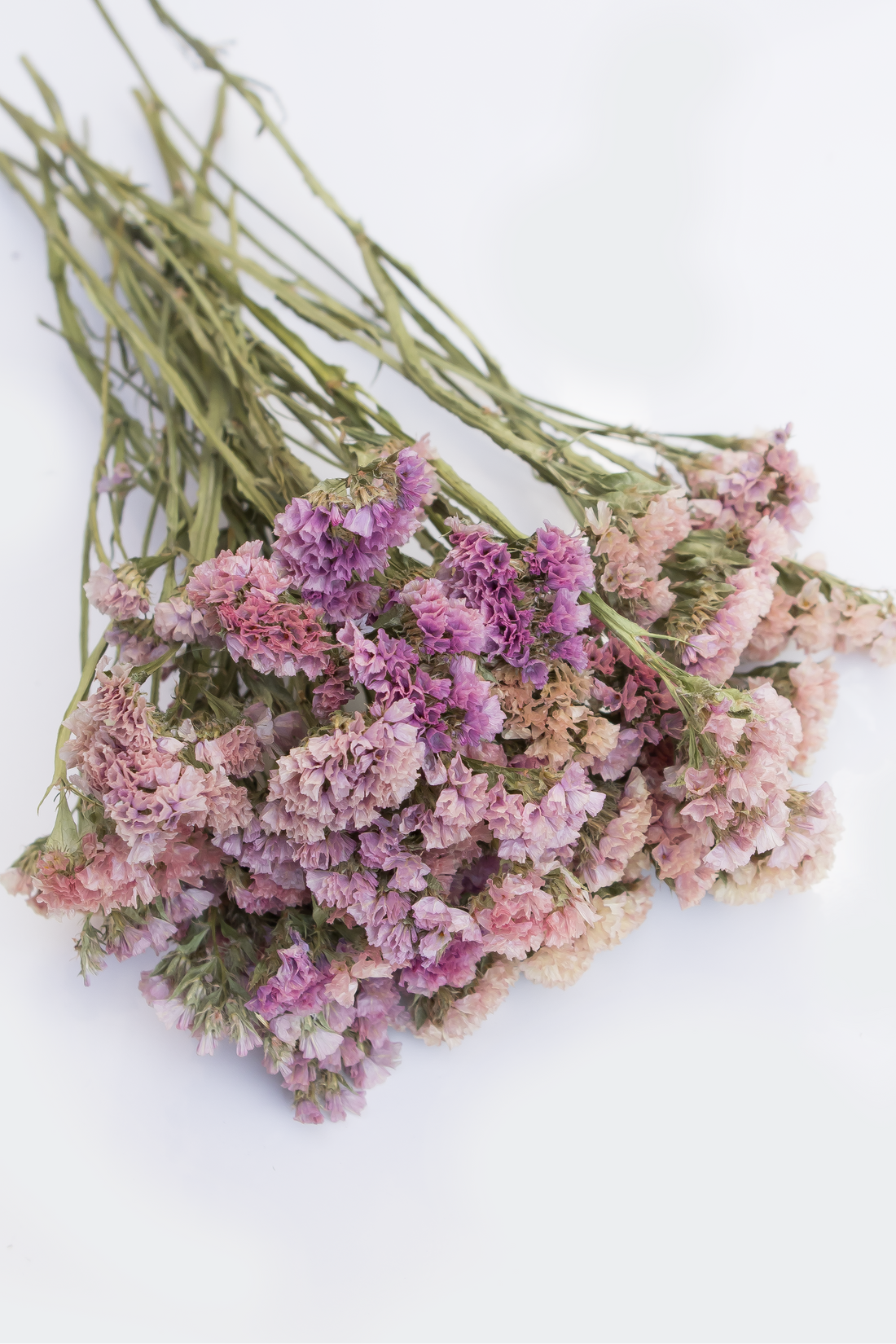 A bouquet of dried flowers with pink, purple, and beige blossoms and green stems, arranged diagonally on a plain white background.