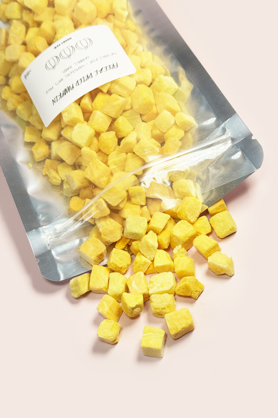 Freeze Dried Pumpkin