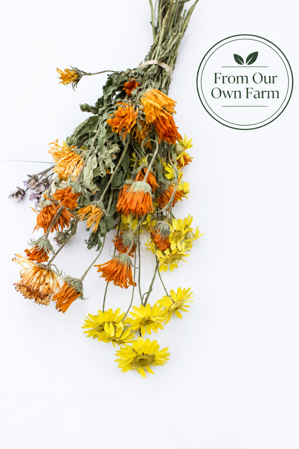 Golden Garden Flower Mix