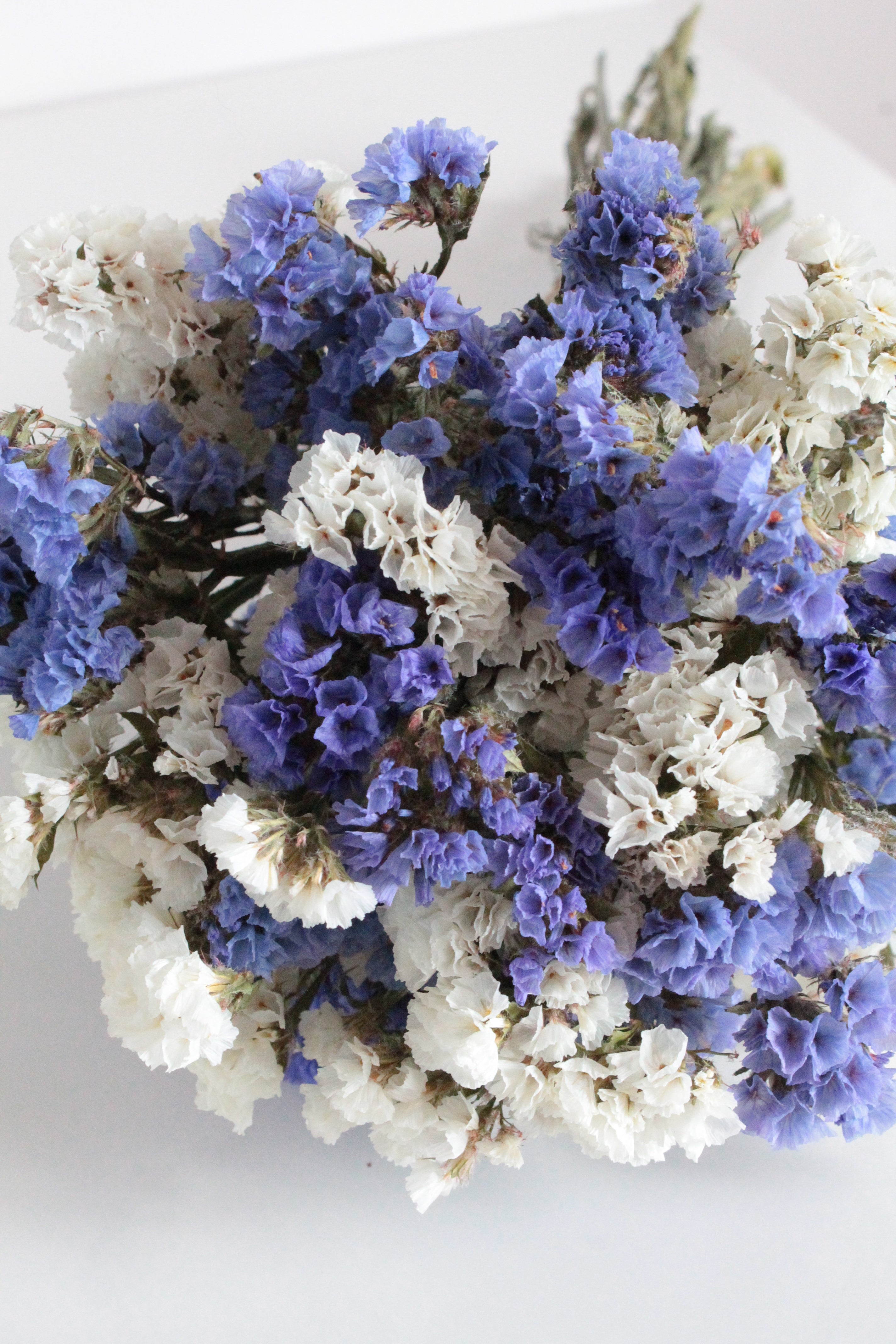 Moonlight Statice Limited Bouquet