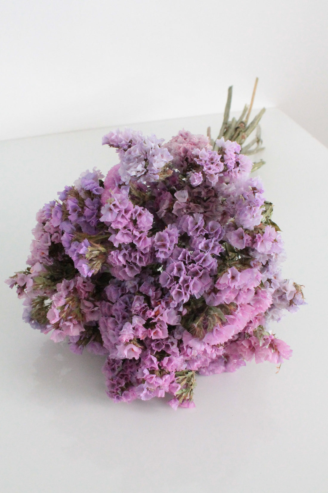 Fairy Garden Statice – Limited Batch