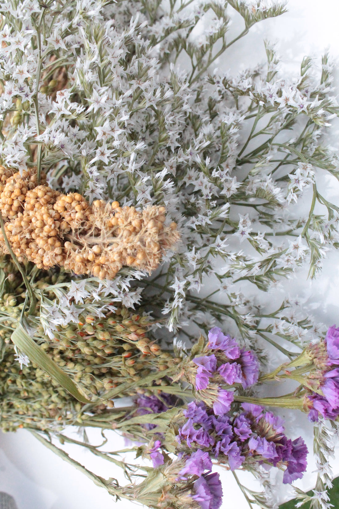Wild Harvest Sprays Mix