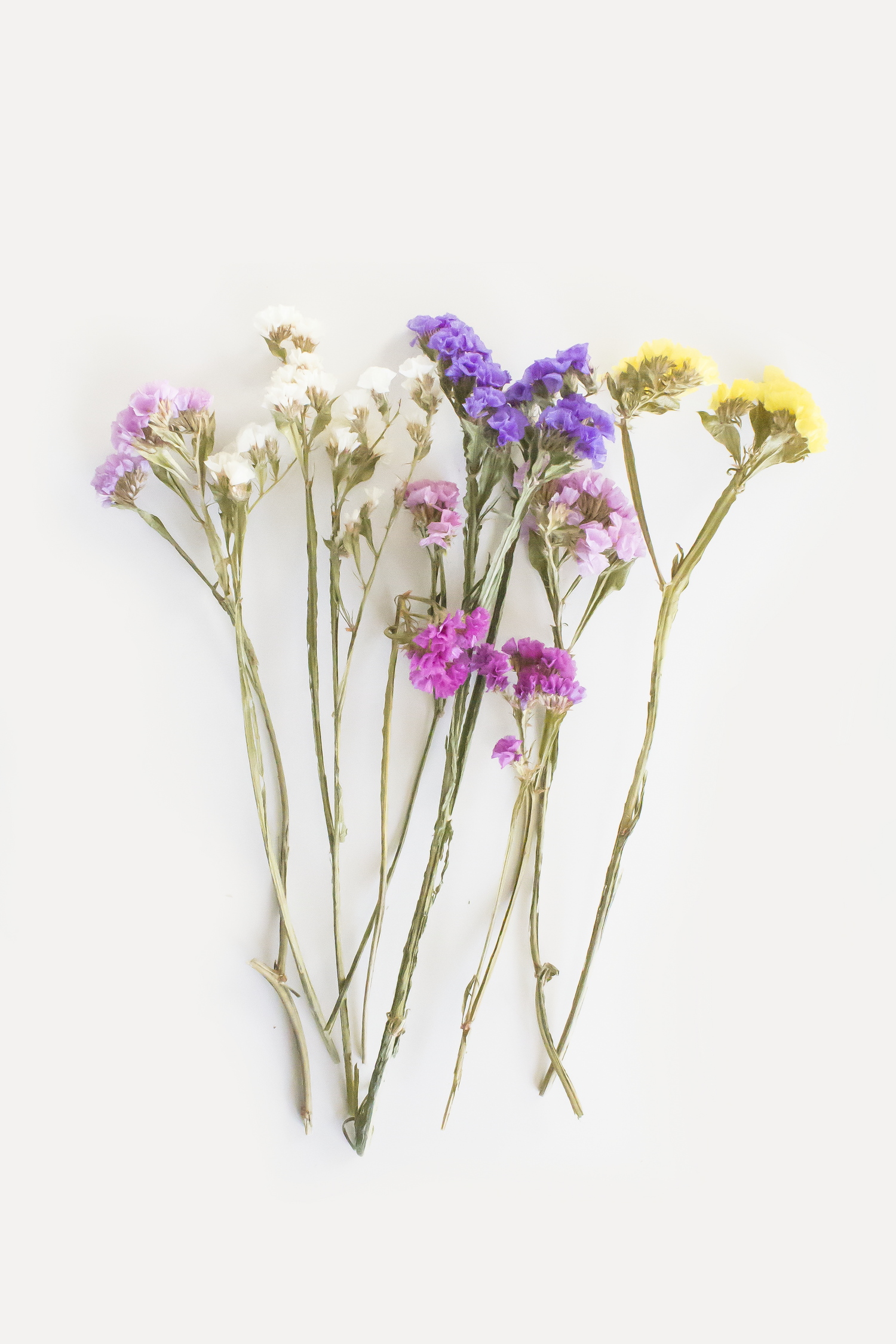 Mixed Statice Bouquet