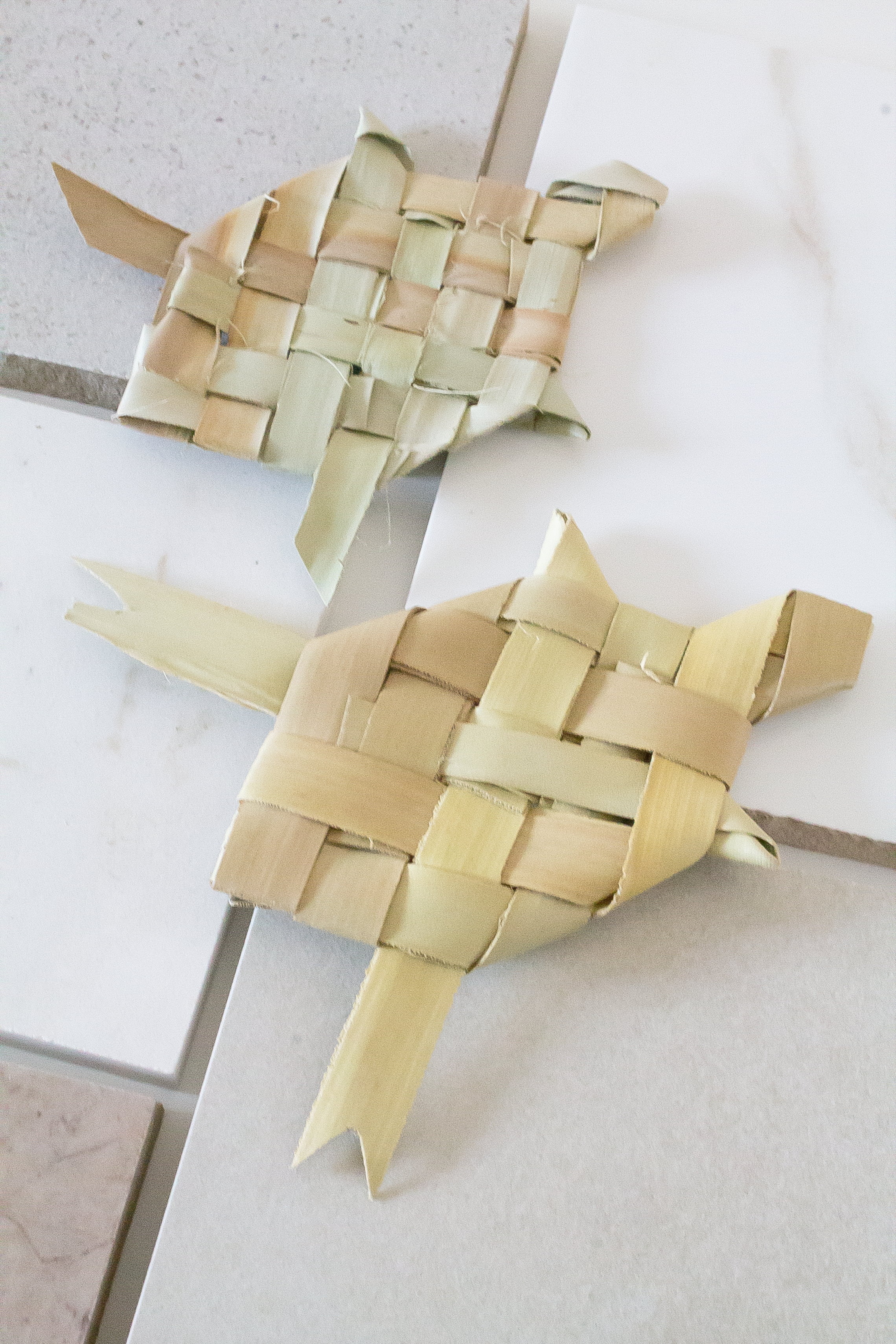 Palm Leaf Turtle Duo