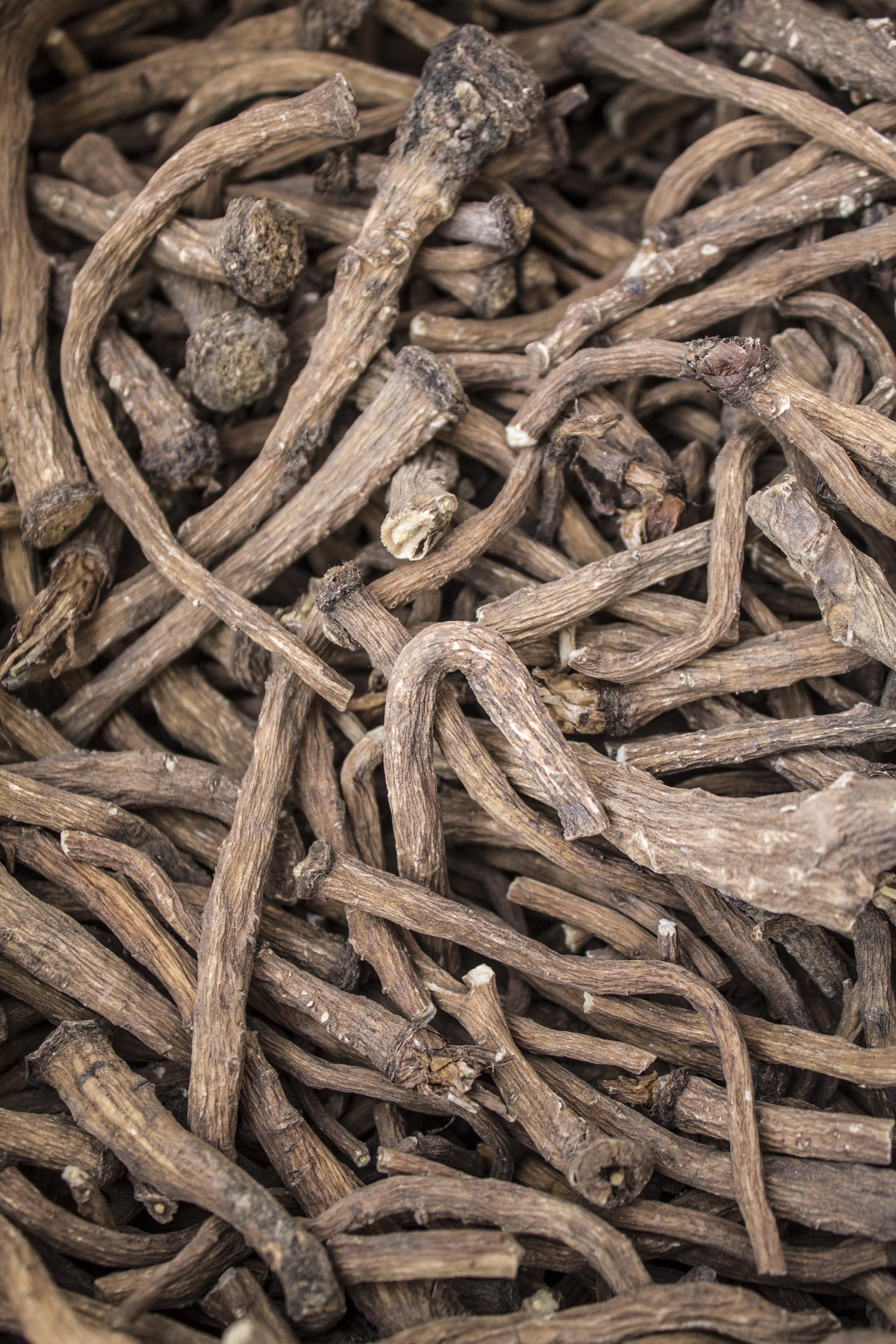Dandelion Root Chews