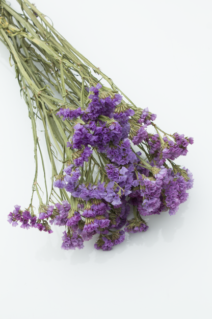 Soft Lilac Statice Flowers