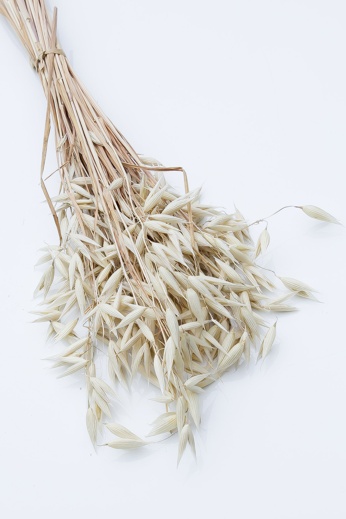 Oat Dried Sprays