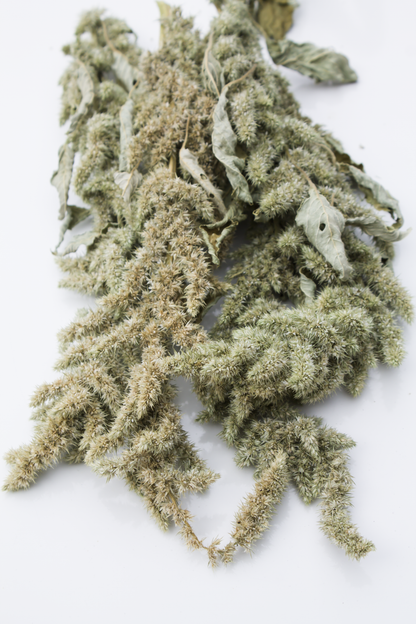 Green Amaranth Sprays