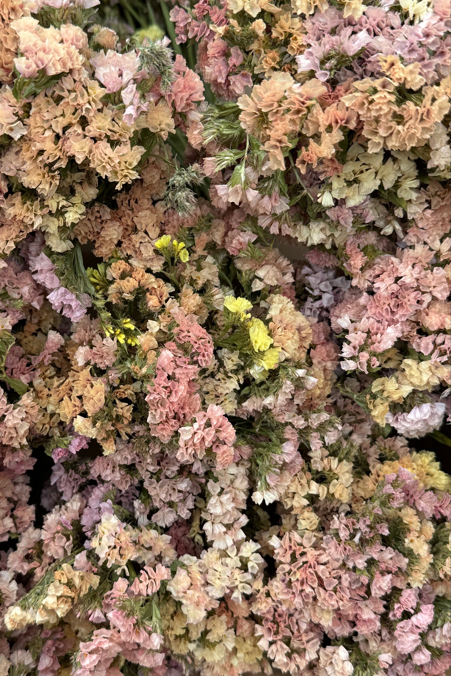 Dreamy Pastels - Limited Statice Bouquet