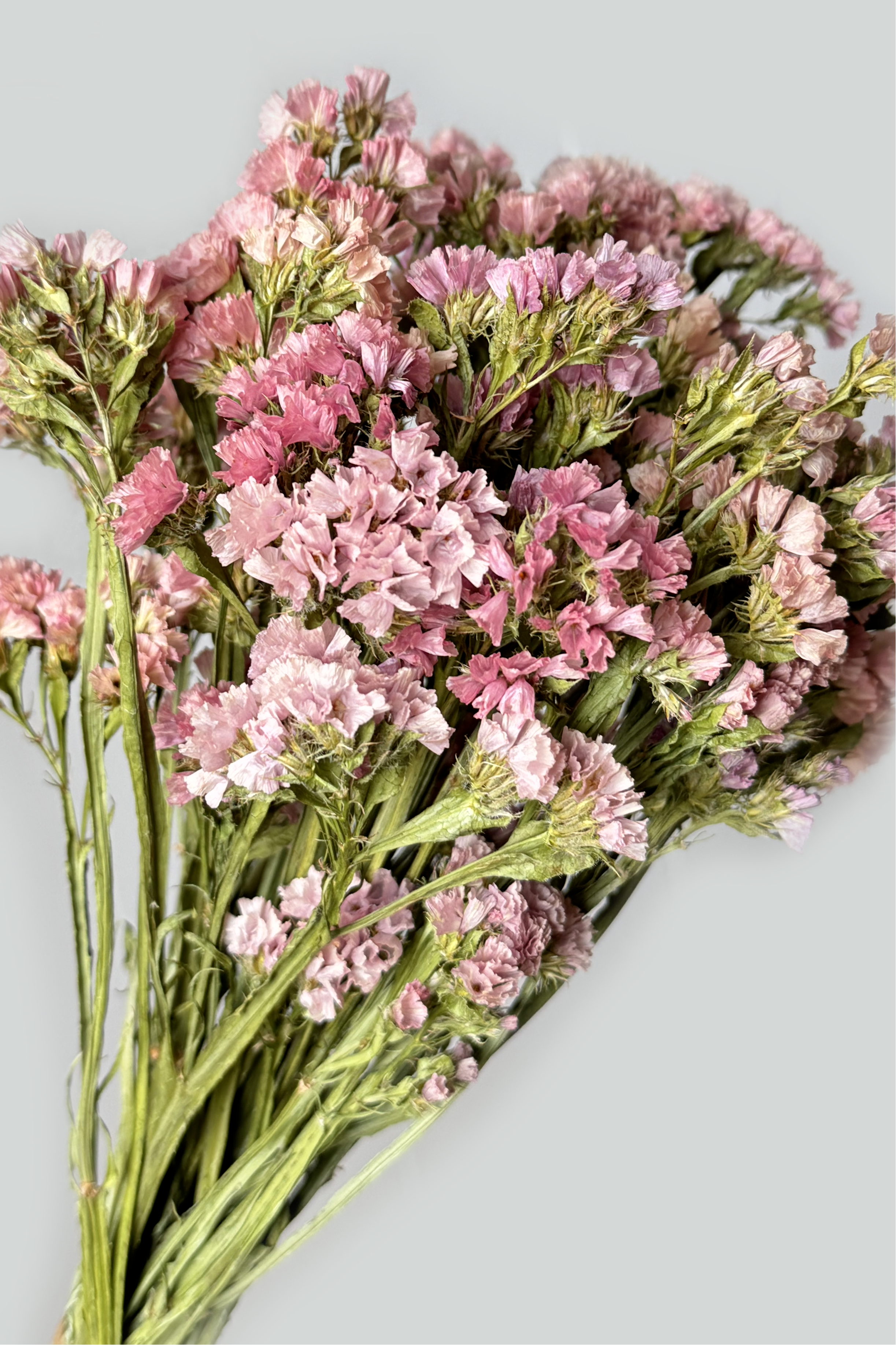 Fairy Garden - Limited Statice Bouquet