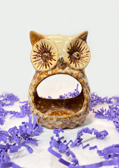 Brown owl hideout, dwarf, Roborovski, syrian, ceramic hideout for enclosure, enclosure decoration, small animal rodent shelter moony paw, moonypaw