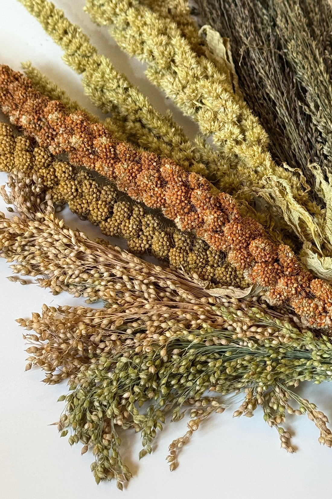 Sunshine Dried Sprays Bundle