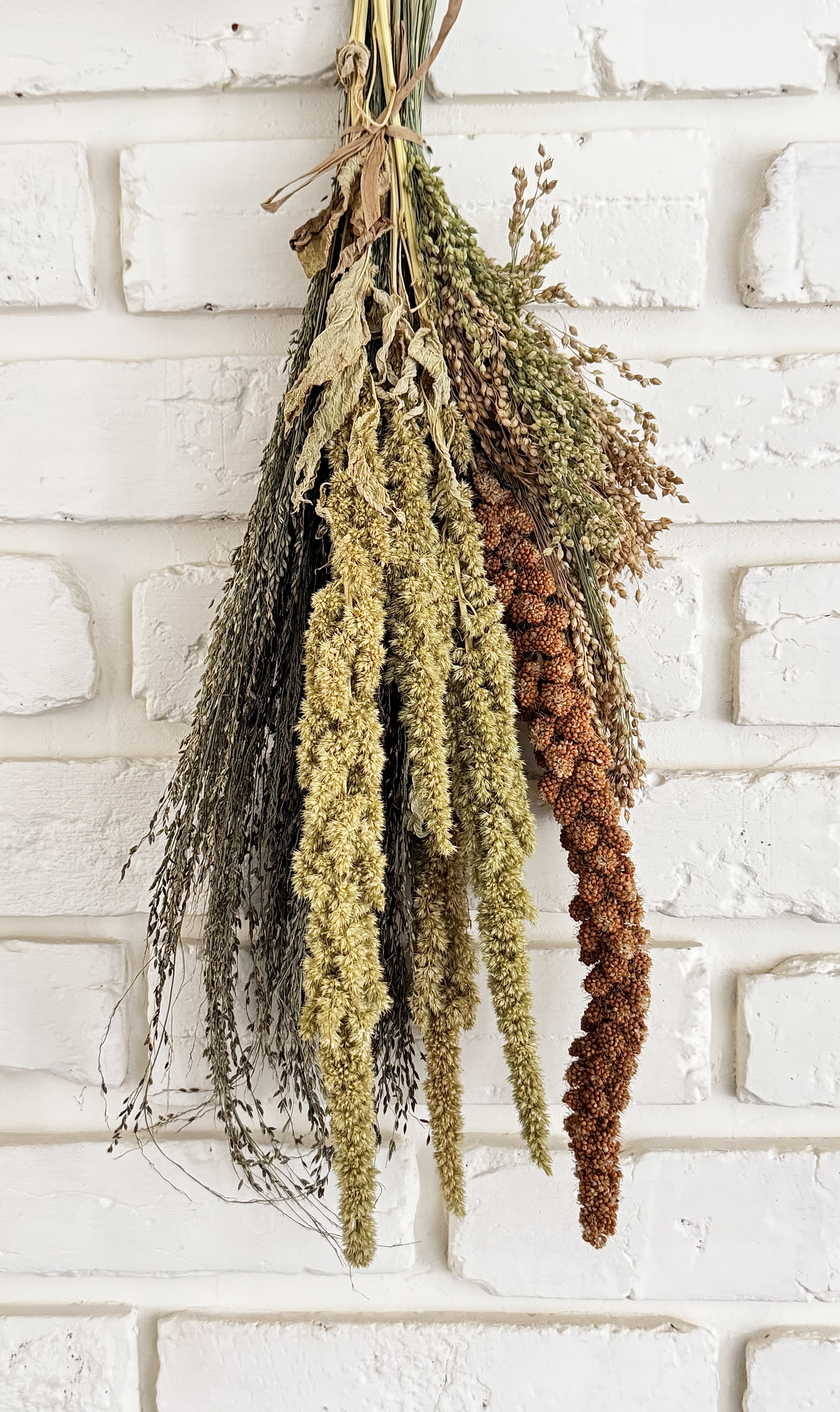 Sunshine Dried Sprays Bundle