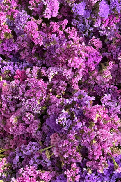 Organic Pink Statice Flowers