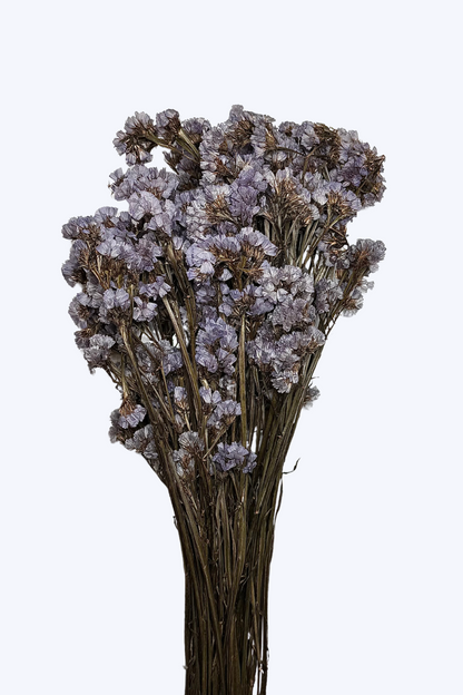 Lilac Statice Flower Bunch