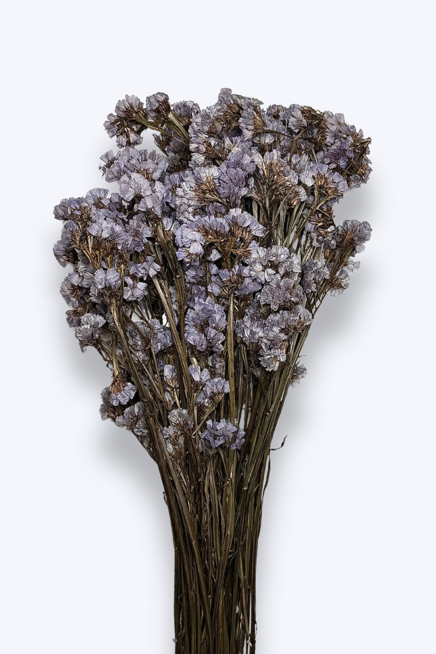 Statice Flower Bouquet