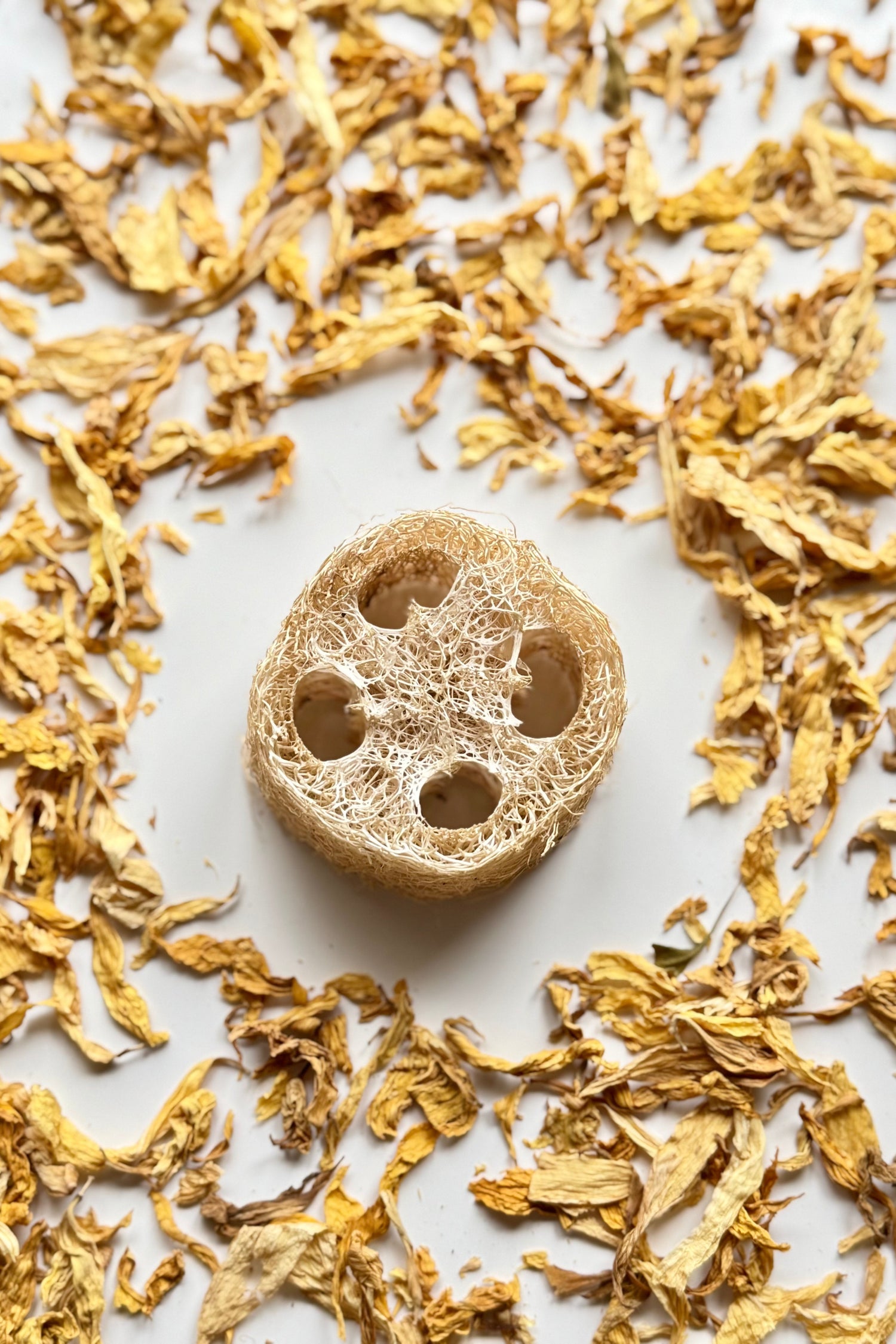 Loofah sponge with dried yellowish leaves on a white background