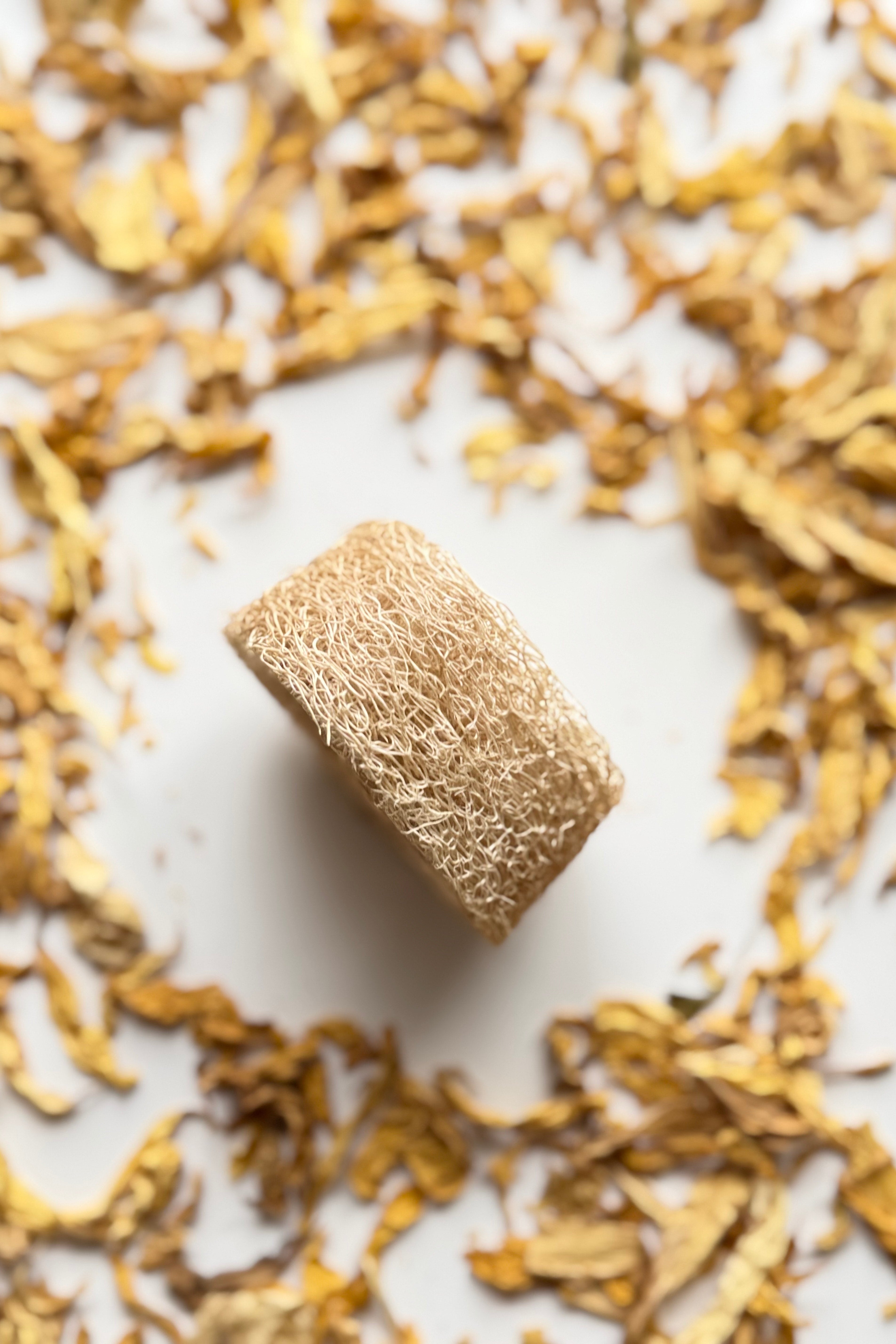 Square loofah sponge surrounded by dried yellowish leaves on a light background