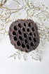 Dark brown lotus seed pod on a light background with delicate white flowers