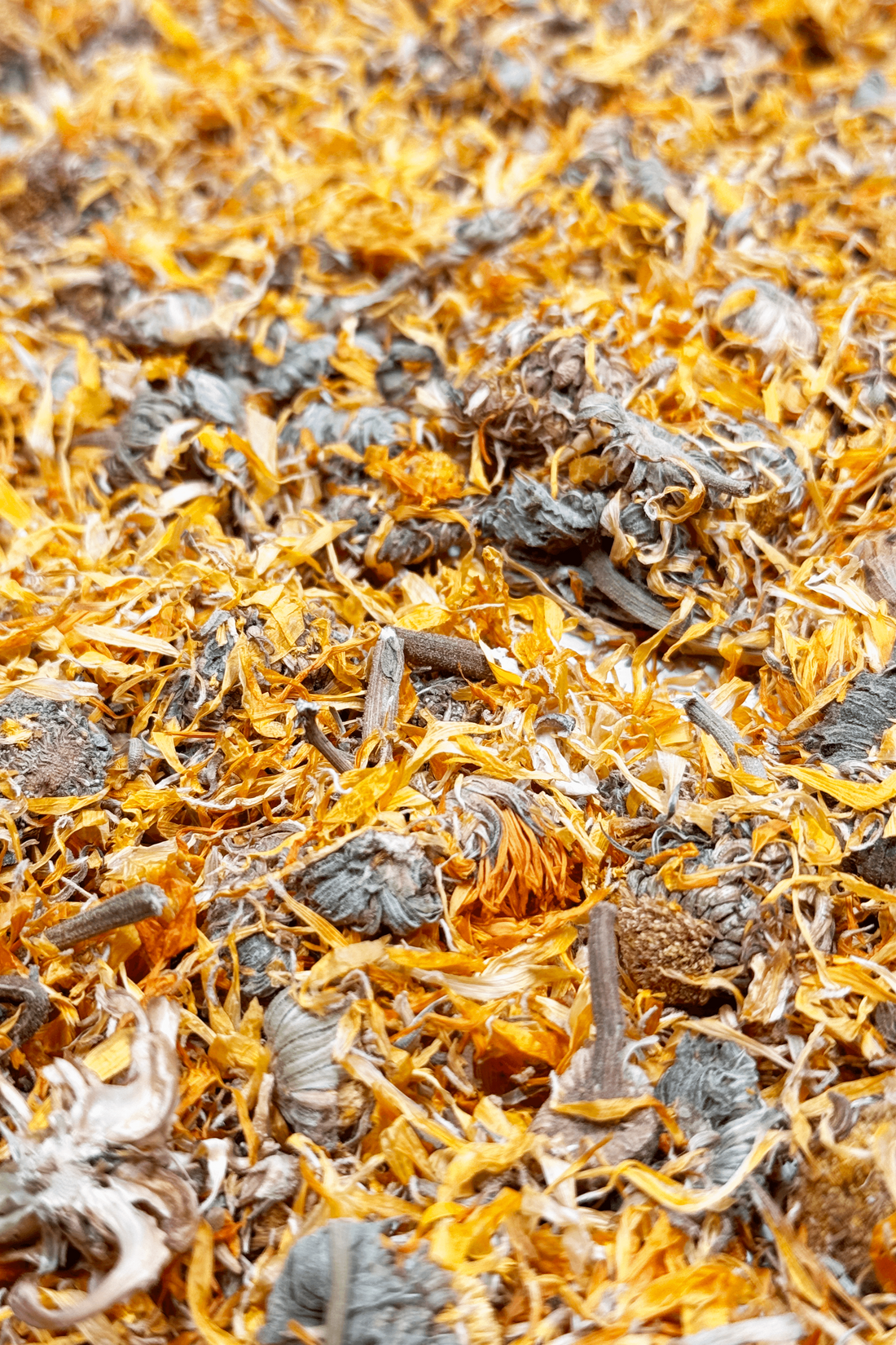 A close-up of dried marigold flowers with vibrant yellow petals and textured buds in a floral mix.