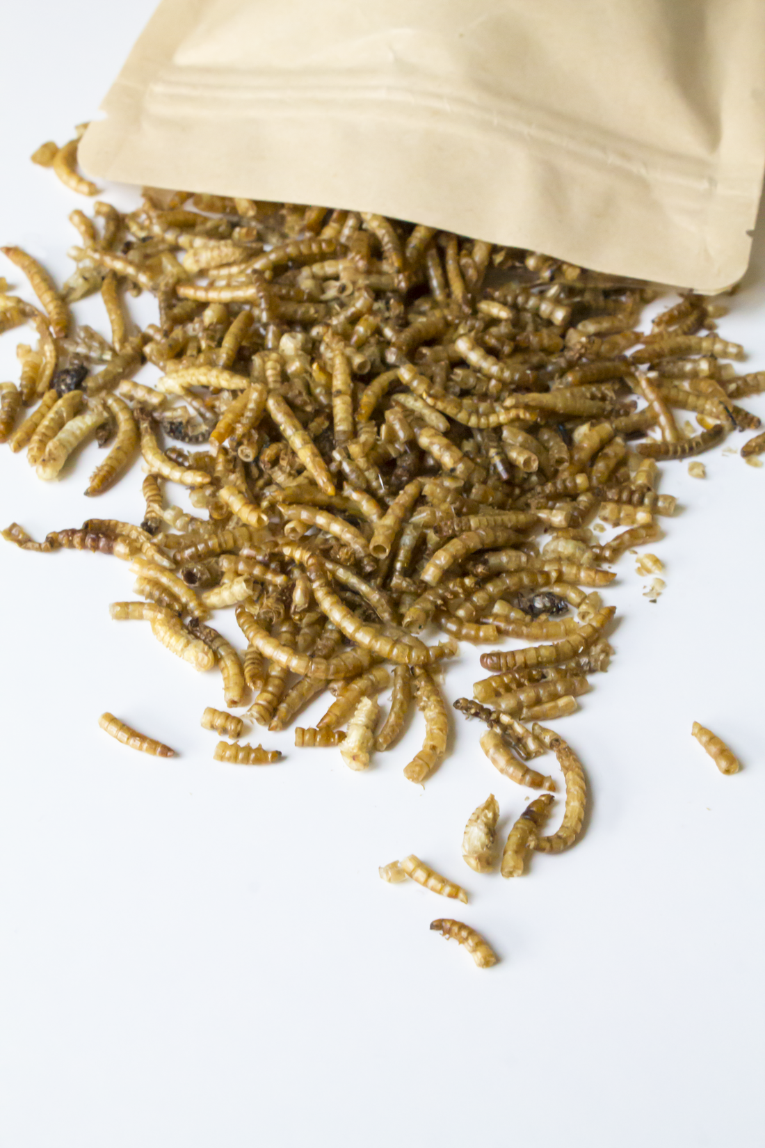 Dried Mealworms